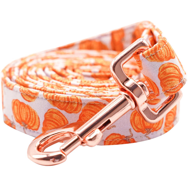 Lionheart glory Pumpkin Dog Leash Halloween Durable Dog Leashes with Comfortable Soft Handle for Small Medium and Large Girl or Boy Dogs
