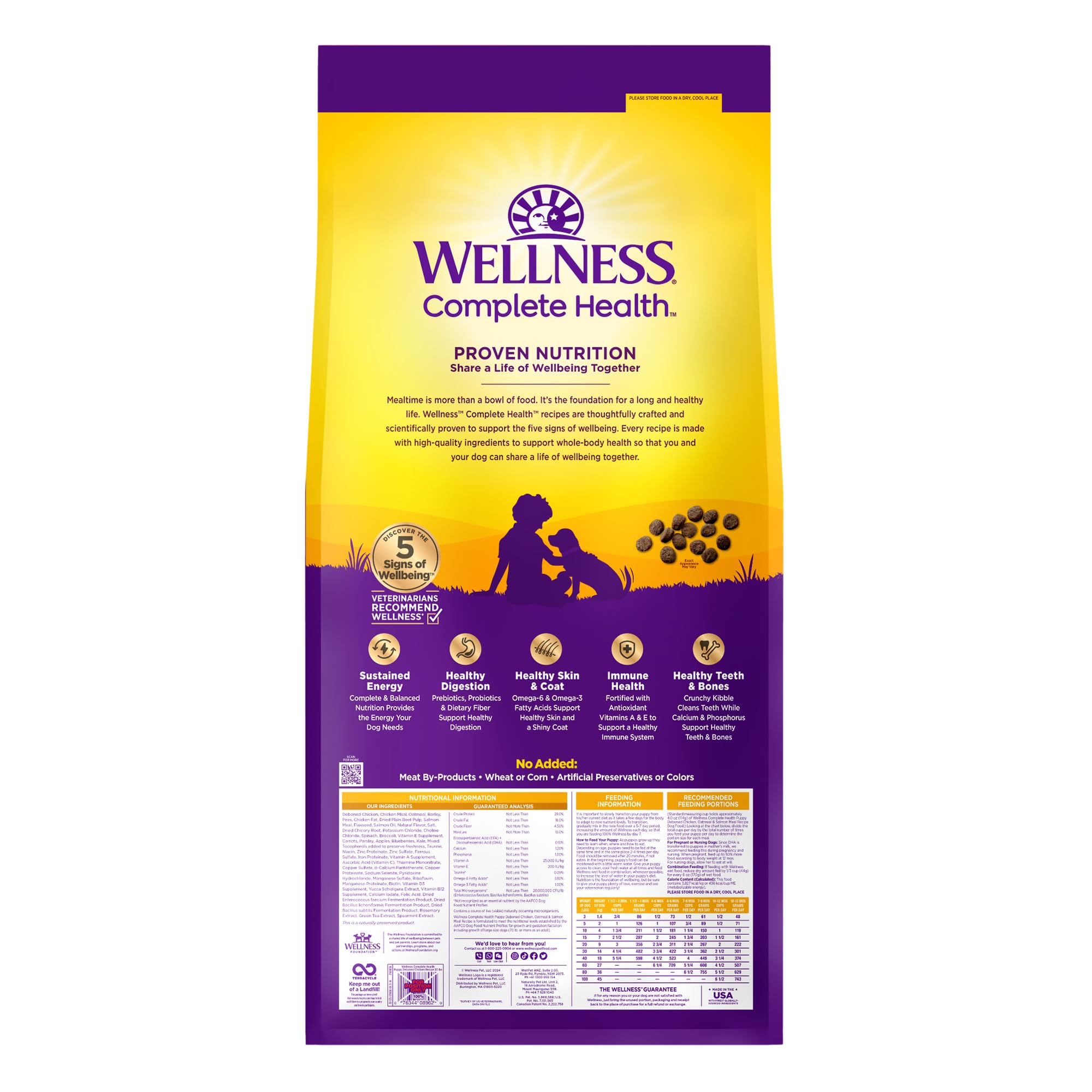 Wellness Complete Health Puppy Dry Dog Food, Wholesome Grain Kibble, Natural, Chicken, Oatmeal, and Salmon Recipe, 30 lb Bag
