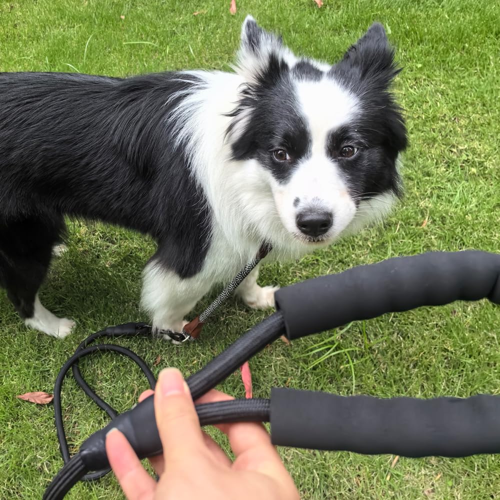 YUCFOREN 3FT 10FT Climbing Rope Leash for Dogs with Comfortable Padded Handle Classic Dog Leash for Medium Large Dogs Black