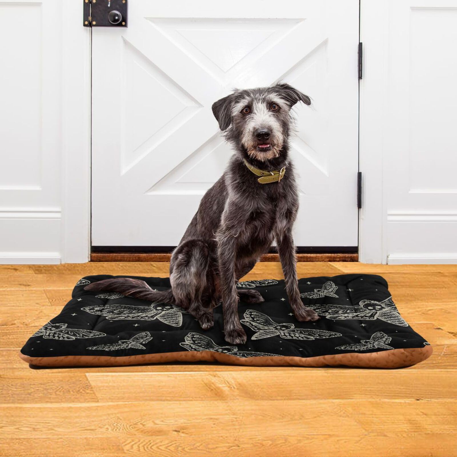 Sletend Pet Bed Gothic Skull Butterfly Moth Dog Bed Mat Absorbing Non Slip Pad Pet Sleeping Mat for Small, Medium, and Large Dogs Puppy Cat 36 in x 24 in