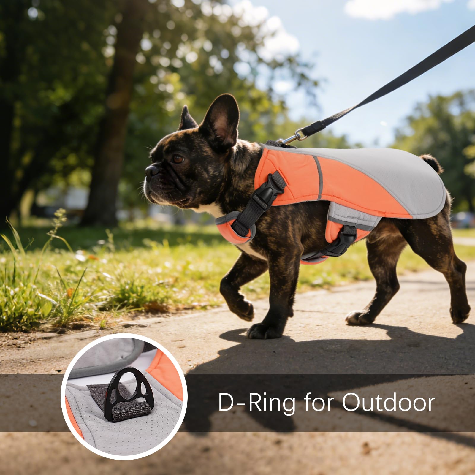 DENTRUN Dog Cooling Vest with Dual Absorbent Core, Adjustable Sun Protective Vest for Hot Weather, Doggie Ice Jacket Hiking Travel Summer Essentials, Reflective, Sun Protective Vest, Orange S