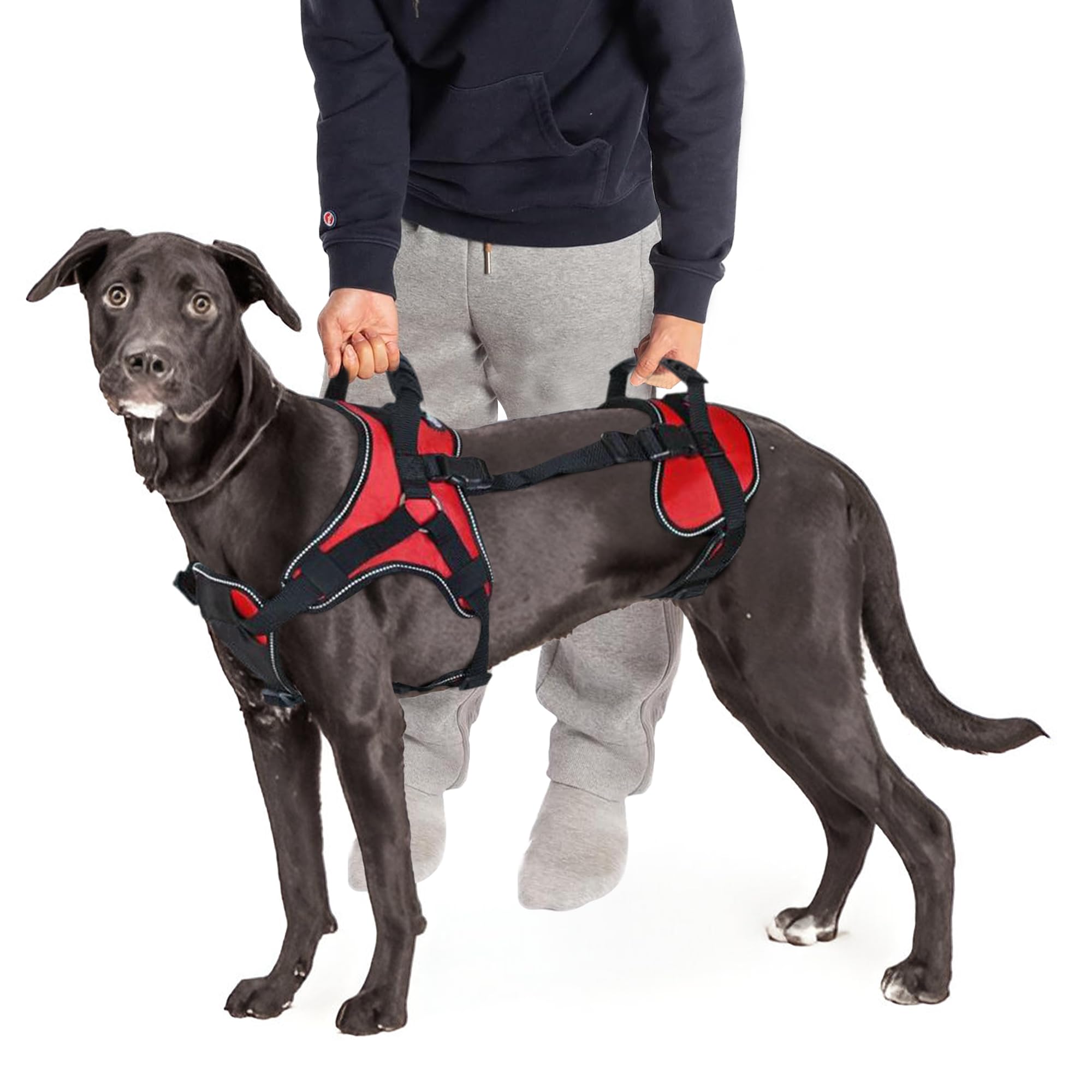 Doggie Stylz Multi-Functional Full-Body Lifting Dog Harness Vest, Designed for Front-Only, Rear-Only or Full-Body Dog Lifting. Please Measure Your Before Ordering.
