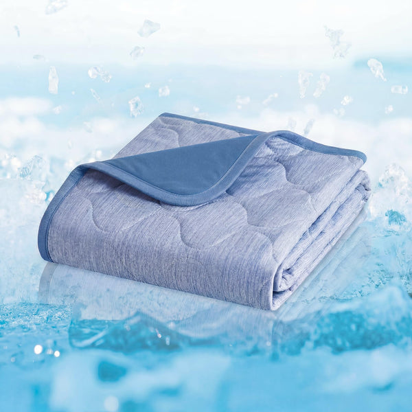 Cozy Bliss Deluxe Leakproof Cooling Blanket for Medium Dogs Q-Max 0.46, Soft & Durable Washable Pet Cooling Mat for Hot Weather, Livingroom, Pet Throw & Couch Protector for Cats, Haze Blue, 30"x40"