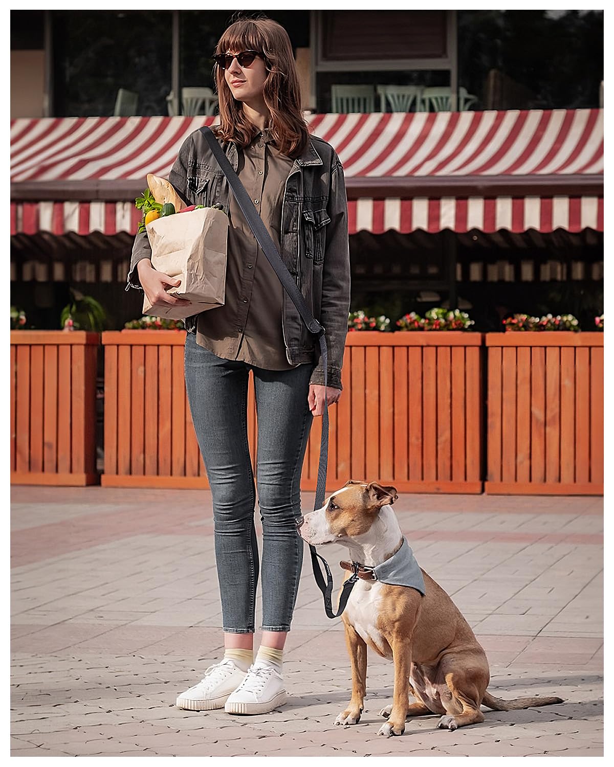Heelay Hands Free Dog Leash, 5.9-8.2ft Multifunctional Crossbody Rope with Explosion-Proof Handle and Adjustable Training Hands Free Leash for Medium Dog Walking Jogging and Running