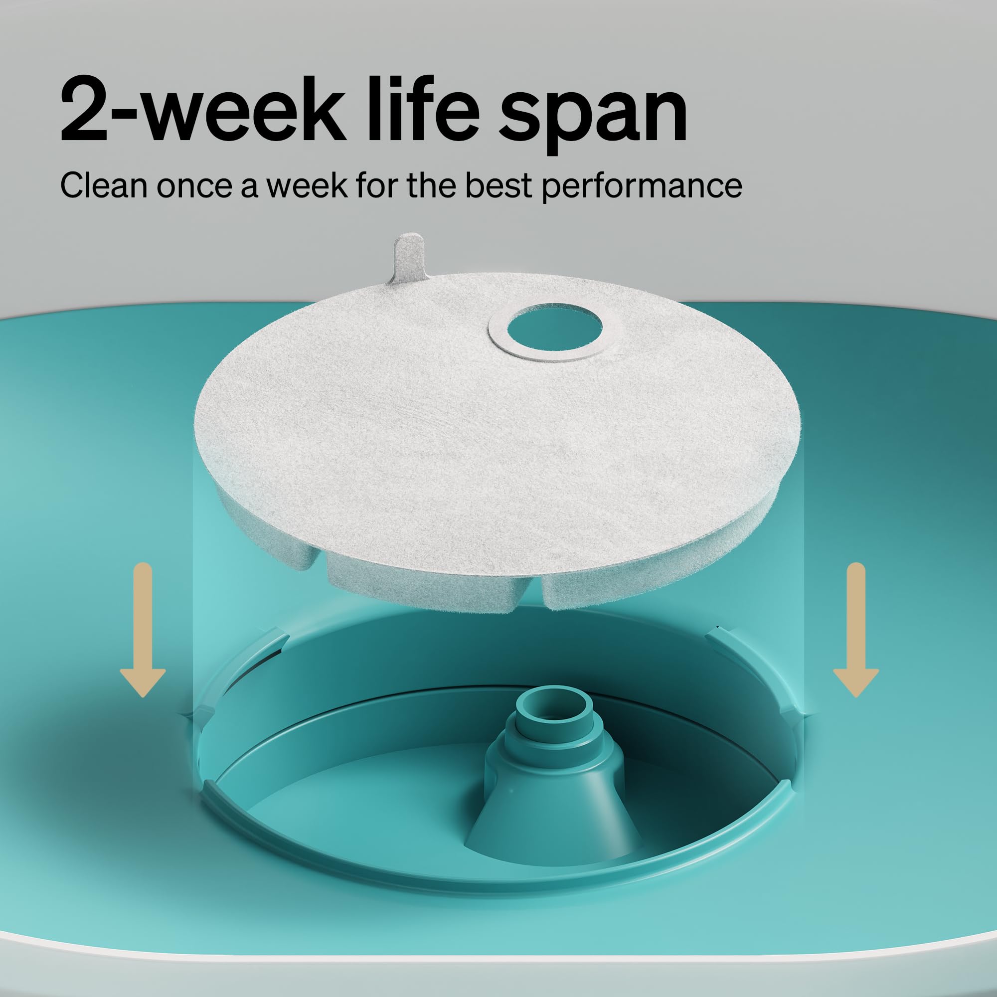 PETLIBRO Replacement Filters for Capsule Dog Fountain PLWF008, 2 Month Set of Filters for Dog Water Dispensers, 4 Count Pack, White