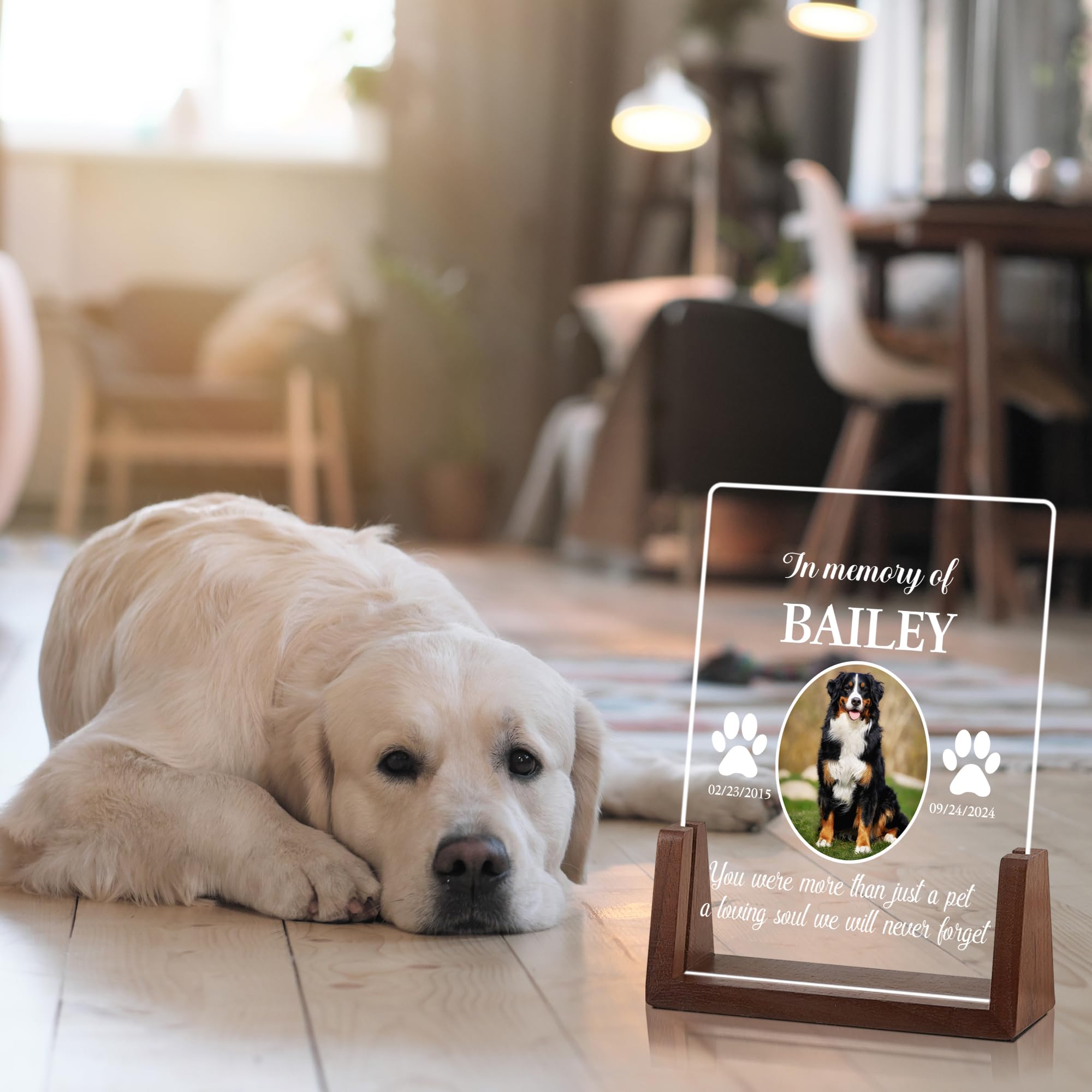 Dog Memorial Gifts for Loss of Dog, Pet Memorial Gifts for Dogs, Customized Pet Memorial Acrylic Plaque with LED Night Light, Pet Loss Sympathy Gift, Valentines Day Birthday Gifts for Pet Lovers