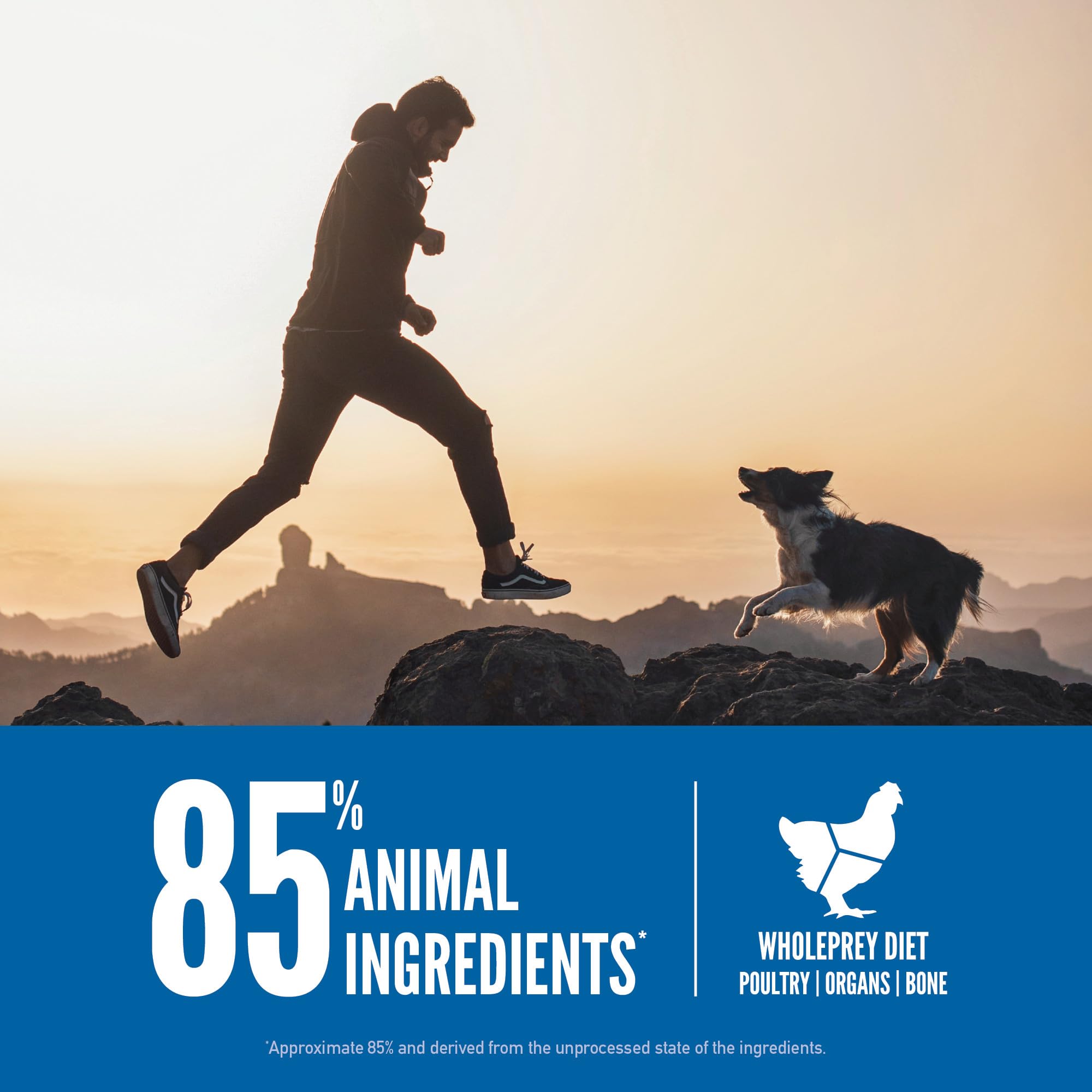ORIJEN Grain Free High Protein Dry Dog Food Original Recipe 23.5lb Bag