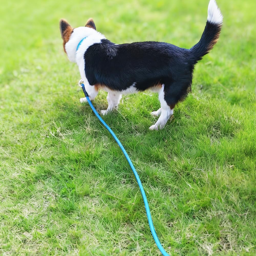 YUCFOREN 10FT Dog Tether, Outdoor Tie Out Dog Lead for Porch, 3/8 inch Thick Nylon Rope for Large Medium Dogs Camping, Training
