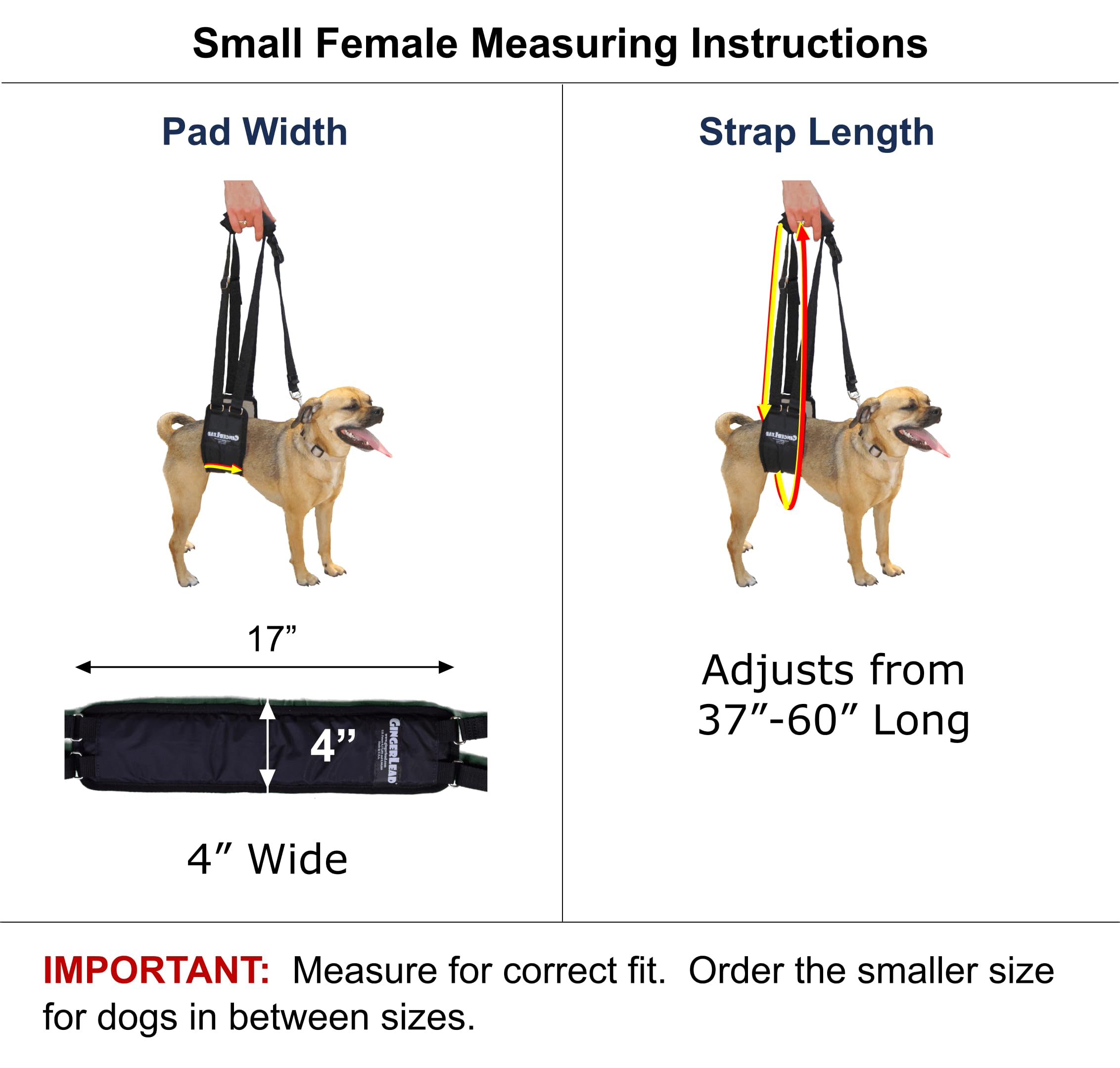 GINGERLEAD Dog Sling Support Harness, SM Female fits Small to Medium Size Pets or Larger Barrel Chested Dogs Like Boxers or Bullies. Padded Rear Lifting Aid with Leash. Made in U.S.A.