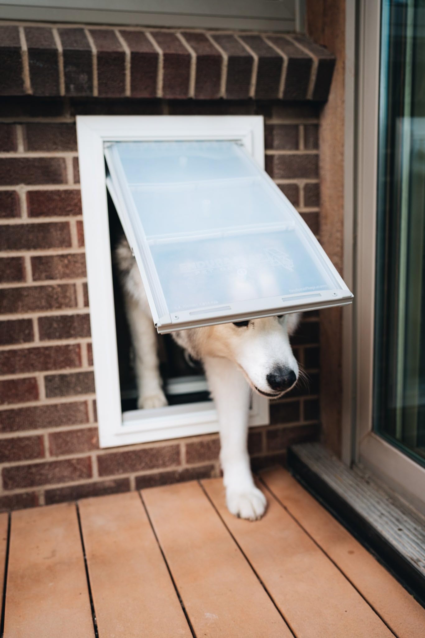 Endura Flap Double Flap Pet Door for Thick Walls | Deep Wall Design up to 13" Thick | Insulating Dual-Layer Flap & Durable Aluminum Frame | Includes Locking Cover | Black, Large, Double Flap