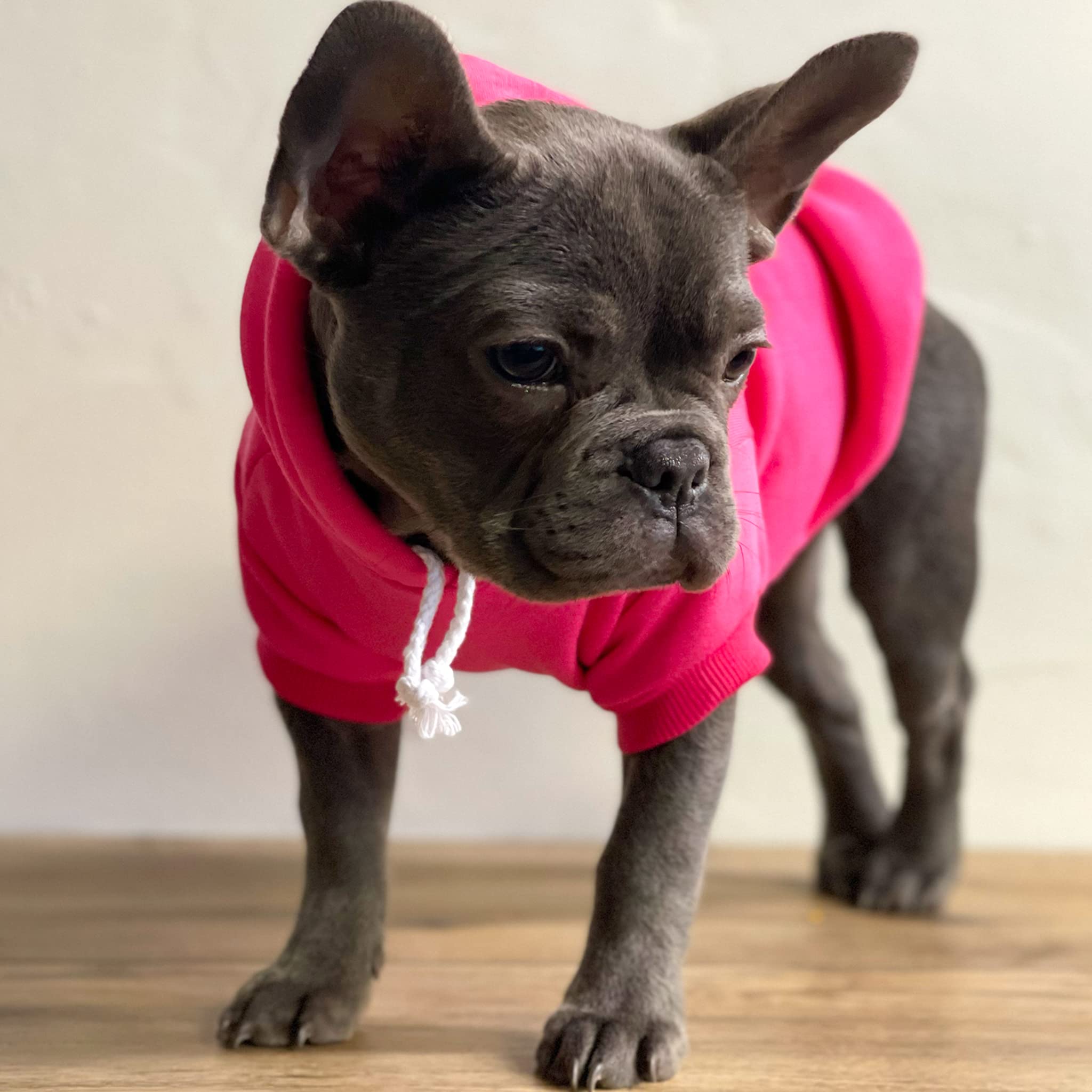 My First Hanukkah Dog Hoodie | Fleece Lined |Leash Hole| Hanukkah | Festival of Lights | Dreidel | Jewish Royal Blue, 6X-Large 350