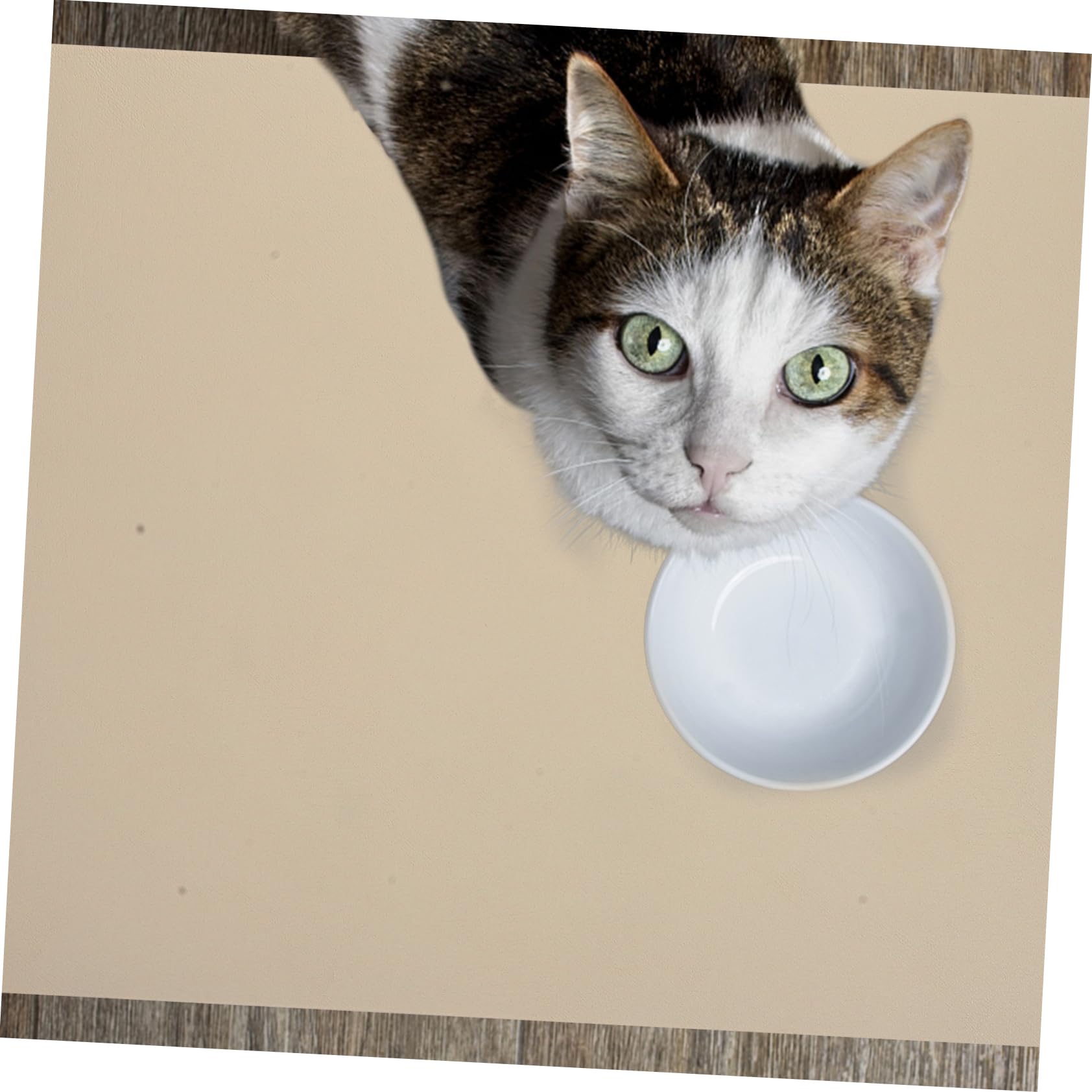 Absorbent Dog Bowl Mat - Quick-Dry Diatomite Feeding for Cats and Dogs Non-Slip, Durable, and Stylish Design