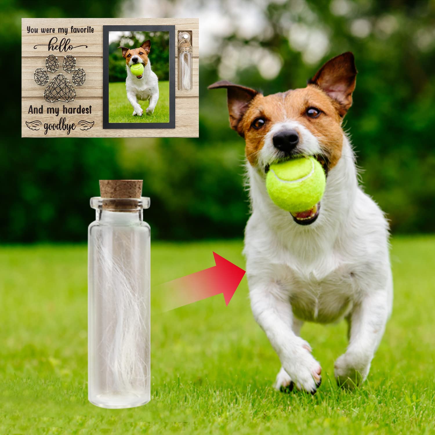 Dog Memorial Frame for Ashes or Hair with Glass Bottle Pet Loss Gifts for Loss of Dog Sympathy Picture Frame(Black)