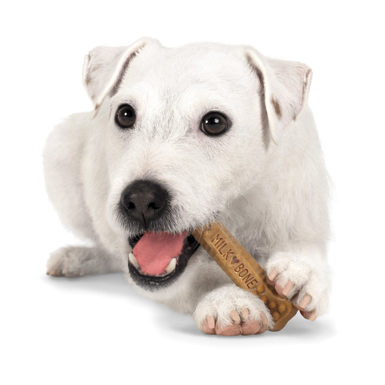 Milk-Bone Brushing Chews Daily Dental Treats - Large, 18.86 oz