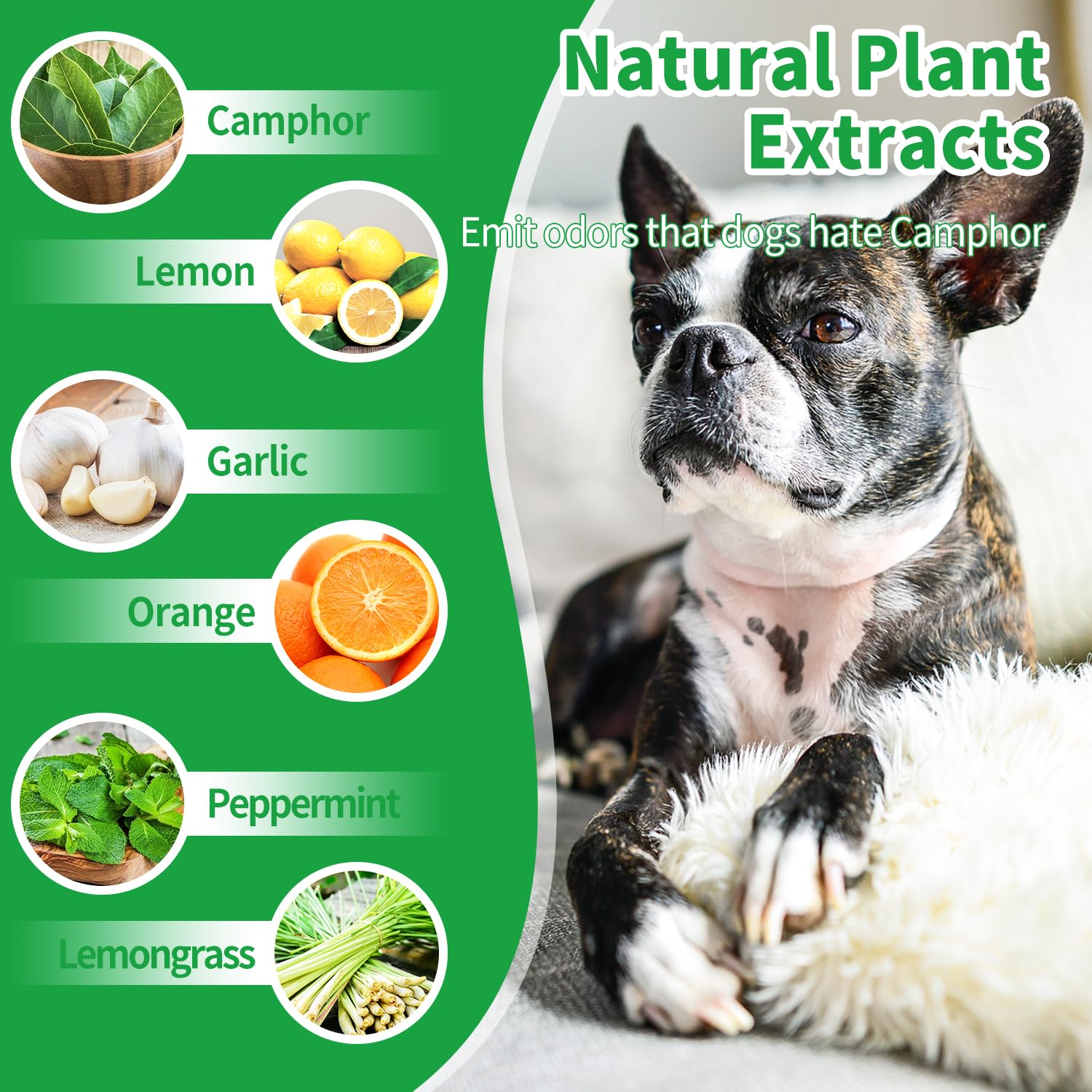 LAOFAN Dog Deterrent Outdoor, Dog Repellent for Yard, Preventing Dogs from Peeing Digging 10 Pack Natural Peppermint Oil Dog Cat Deterrent Ball Keep Out of Lawn Garden Prevent Scratch and Chew（Blue）