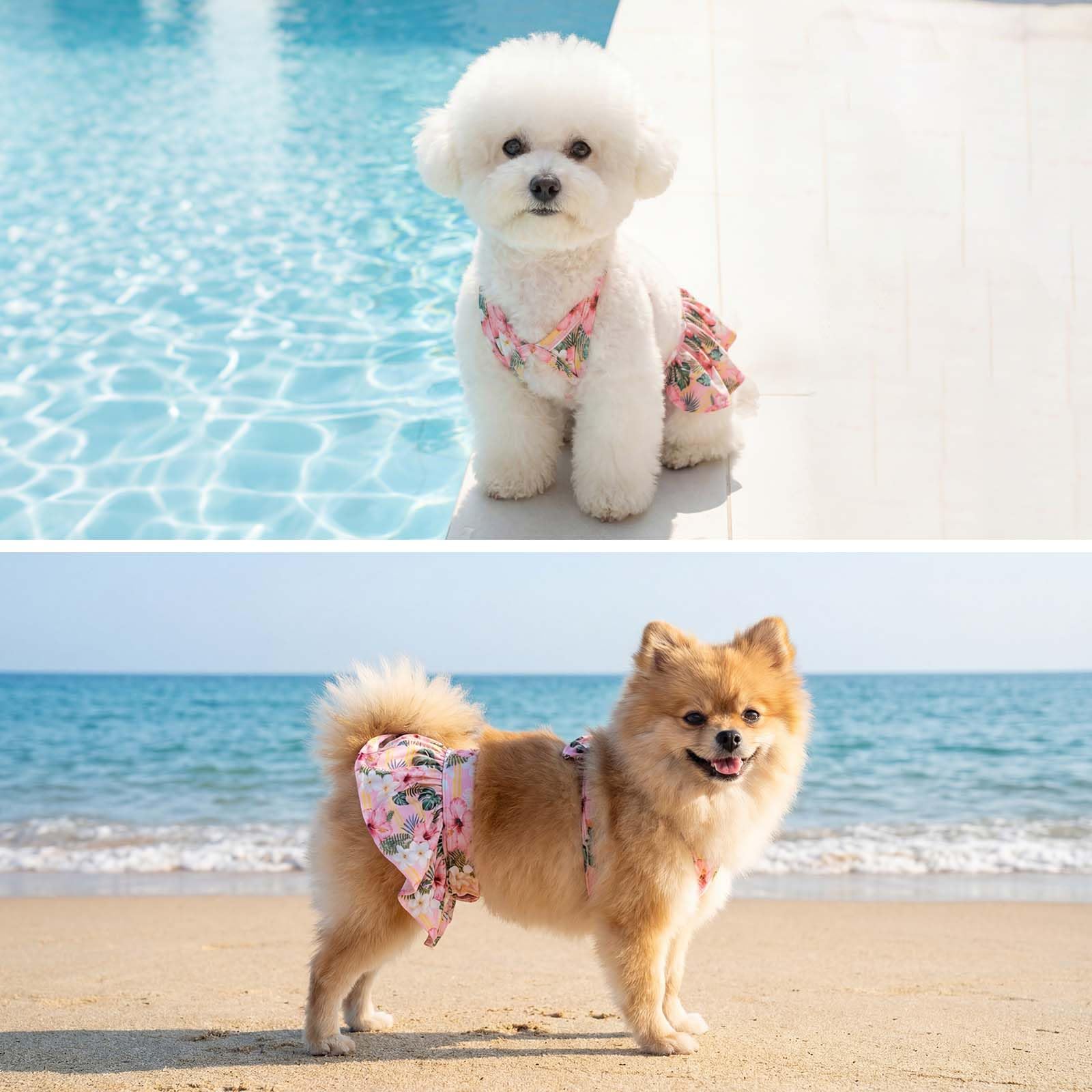 CuteBone Dog Bikini Dress 2 Pack, Stylish Swimsuit Costume for Small Dogs, Comfortable & Adjustable Puppy Bathing Suit, Soft Outfit Pet Apparel for Beach, Pool and Summer Fun 2DB18M