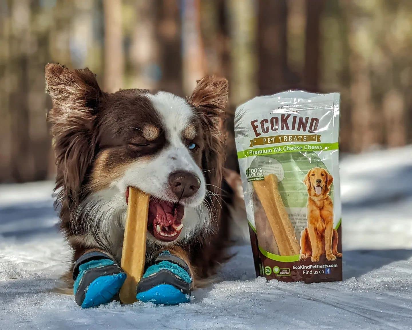 EcoKind Yak Cheese Himalayan Dog Chews, Yak Chews for Large Dogs, Long Lasting Bone for Aggressive Chewers, 3 Ingredients, Natural High Protein Treats, No Additives, Lactose Free, Large - 4 Chews