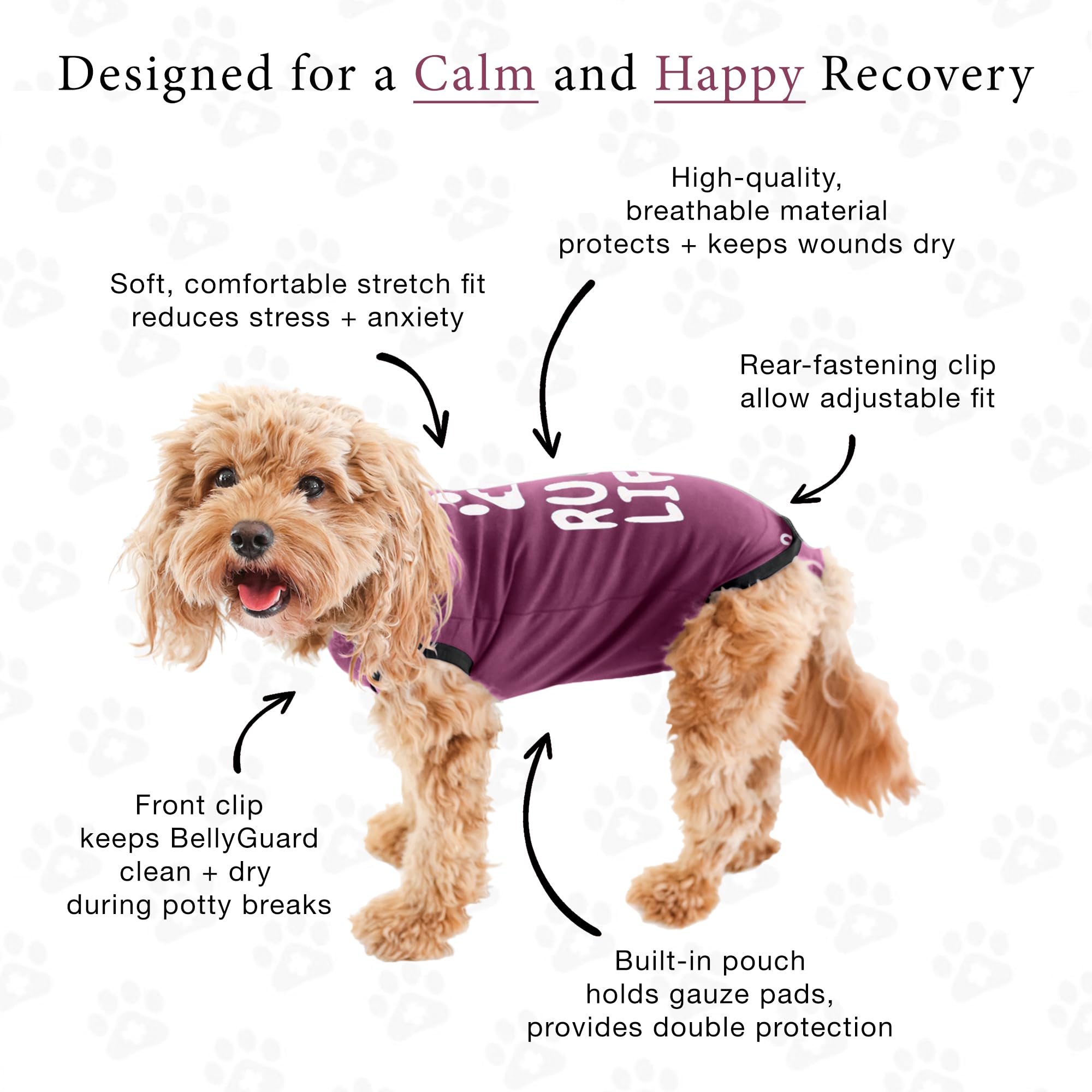 BellyGuard Dog Surgery Recovery Suit, Dog Onesie for Post-Op Care, Recovery Apparel for Female and Male, Surgical Body Cover for Canine Healing Support