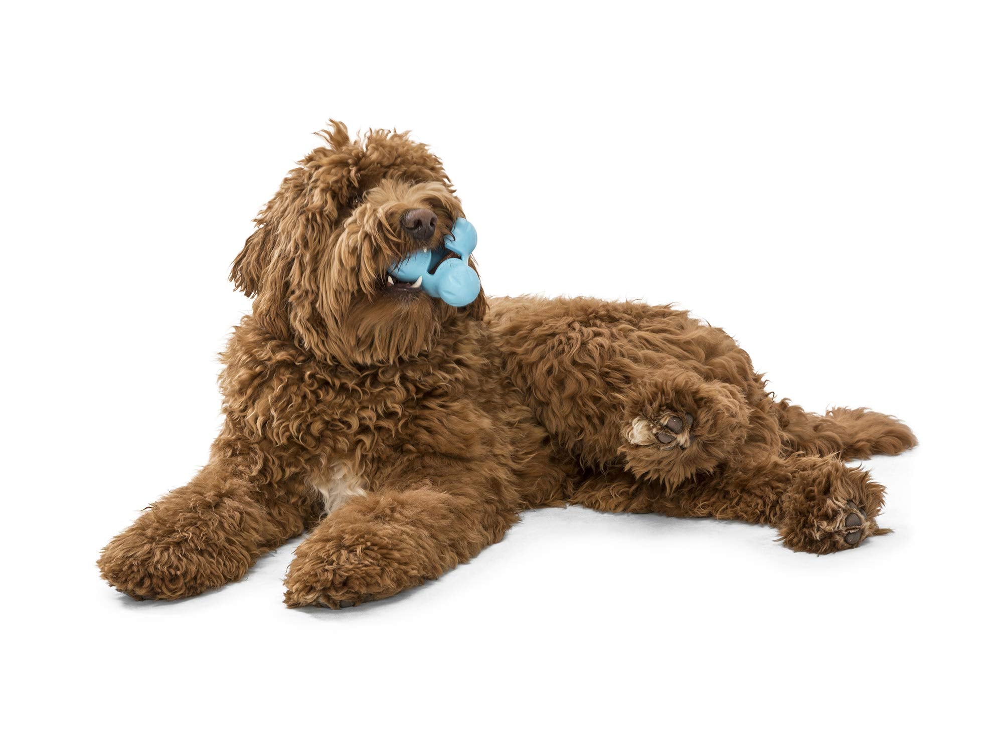 WEST PAW Zogoflex Tux Interactive Treat Dispensing Dog Chew Toy for Aggressive Chewers, 100% Guaranteed Tough, It Floats!, Made in USA, Large, Aqua