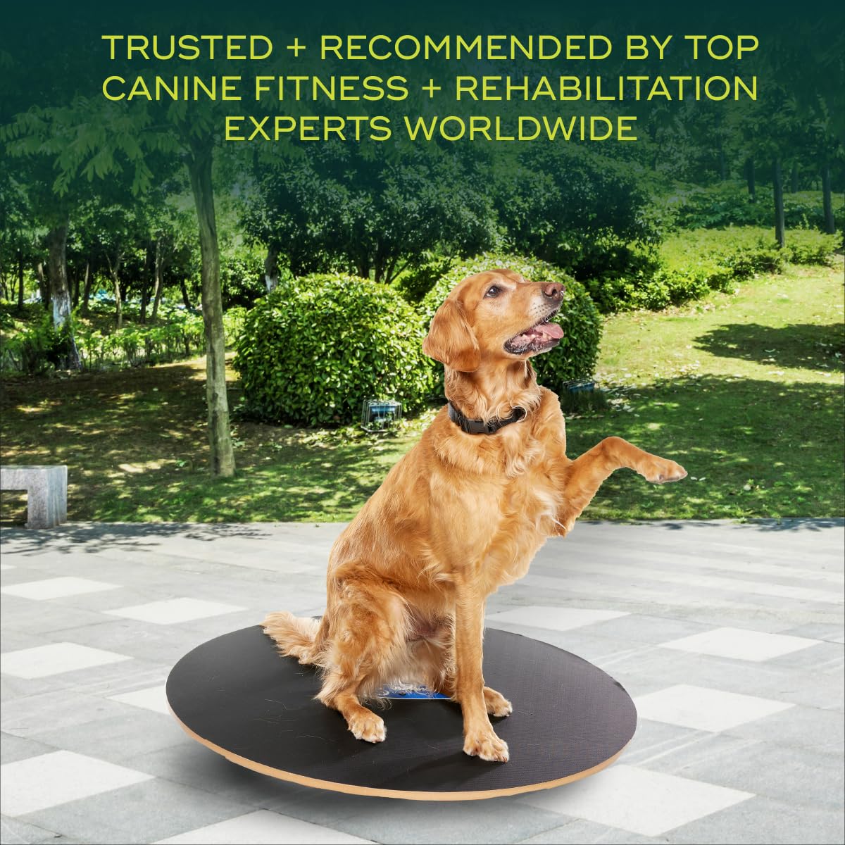 FitPaws Wobble Board - Dog Balance Training Equipment for Core Strength & Stability Canine Fitness & Rehabilitation Tool 36"