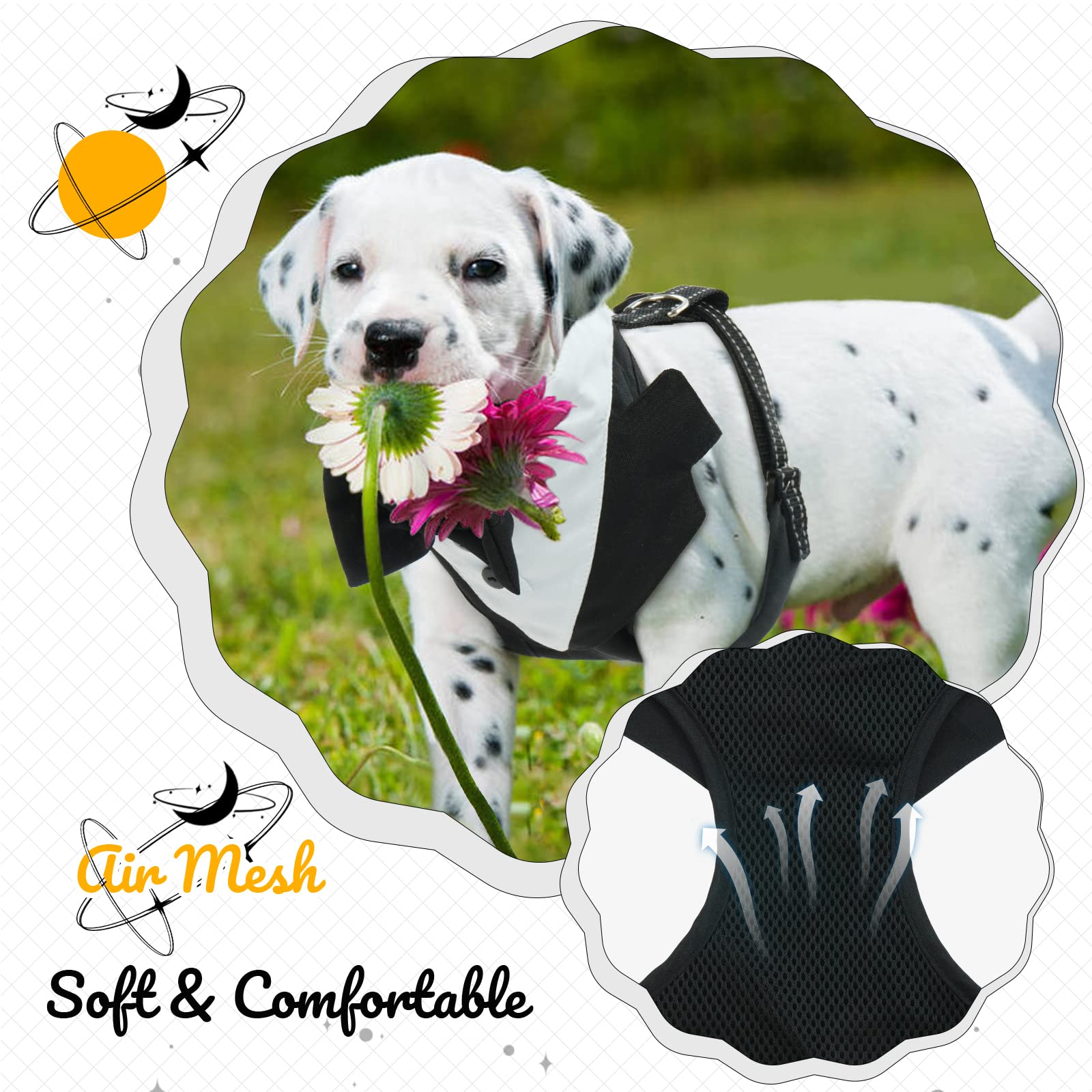 OUOBOB Dog Tuxedo Harness, No Pull Dog Tuxedo Vest Harness with Leash, Adjustable Doggie Wedding Suit Costume with Bow Tie for Small Medium Dogs, Birthday, Walking (Balck M)
