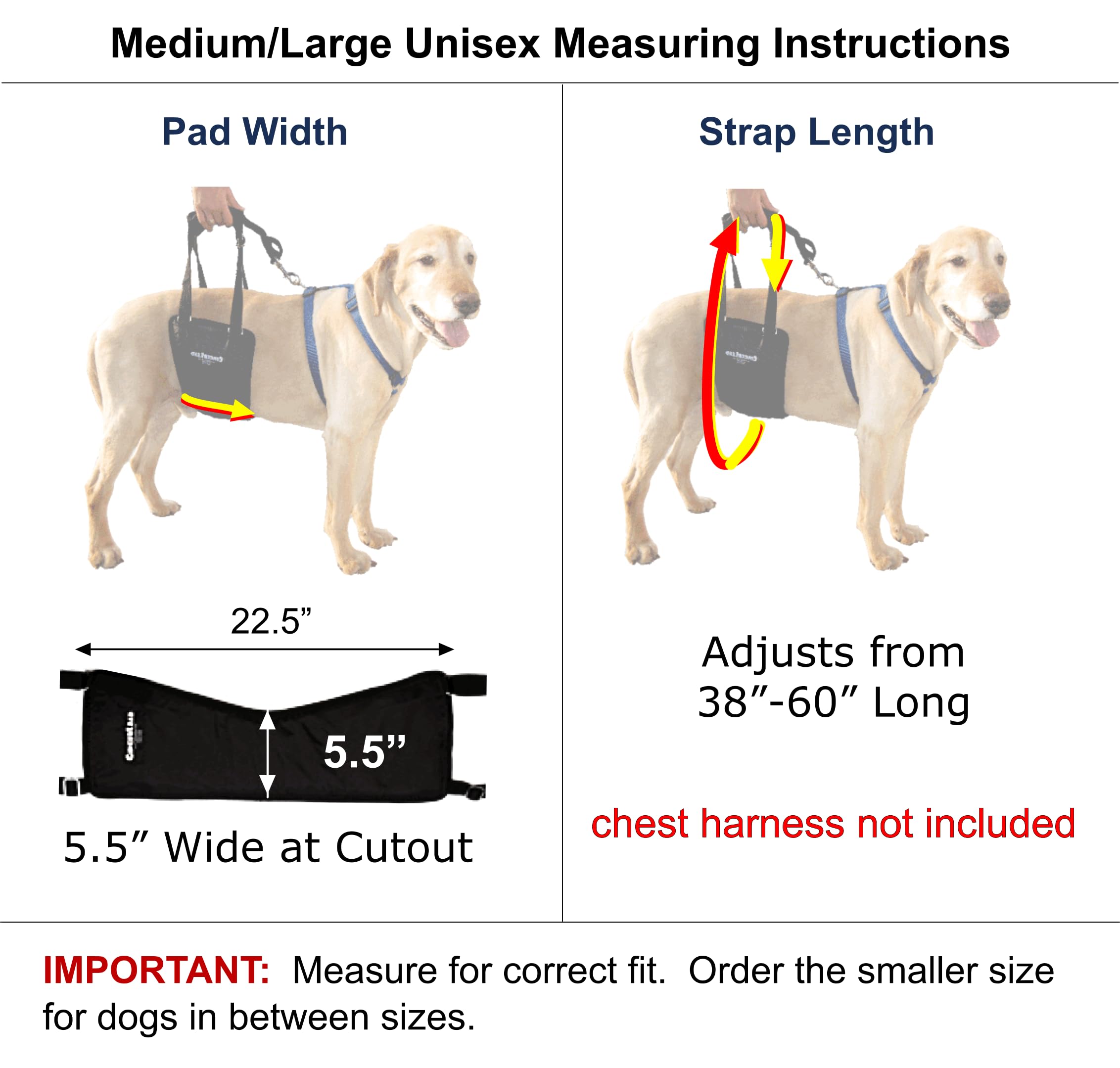 GINGERLEAD Dog Rear Support Sling Harness, M/LG Unisex with Cutout Fits Male & Female Dogs. Padded Hip Lifting Aid Helps Old Pets Walk, K9s Recover from TPLO Surgery. Integrated Leash. Made in U.S.A.
