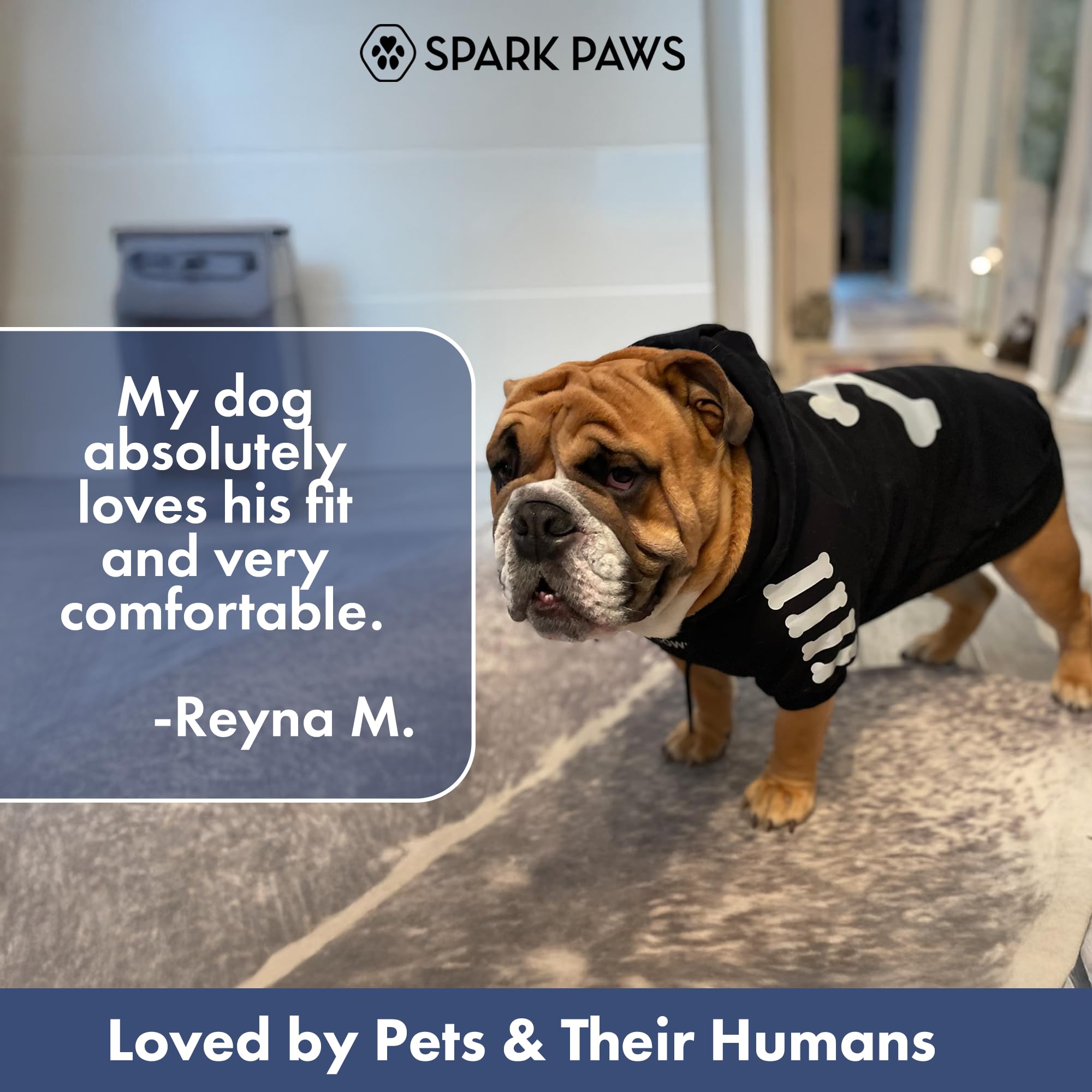 Spark Paws Dog Hoodie – Premium Dog Sweater for Small, Medium, and Large Dogs | Warm Outfits for French Bulldogs, Pitbull, Puppy, Winter Jacket Alternative - Woof - M