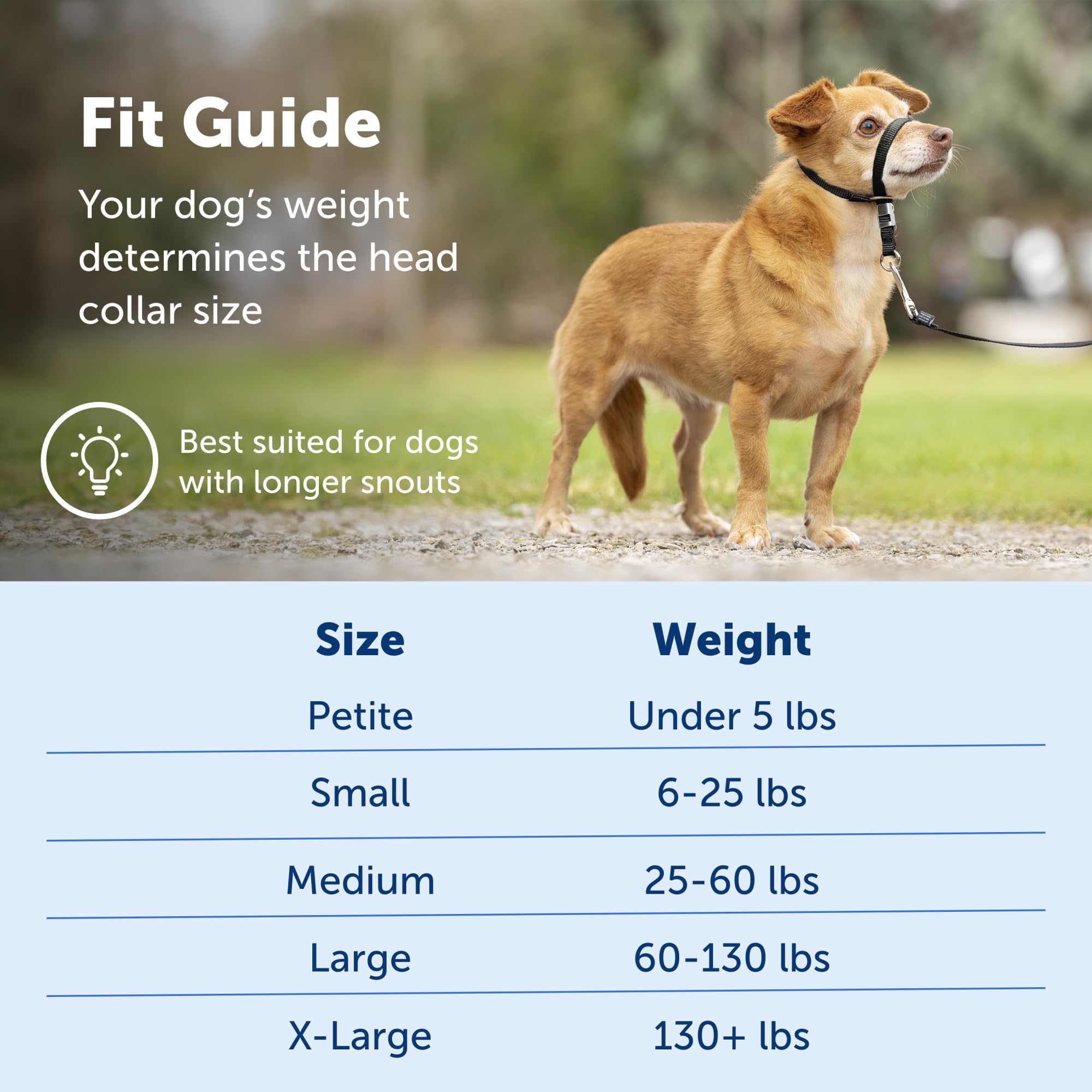 PetSafe Gentle Leader Headcollar - No Pull Dog Collar for Better Leash Manners - Comfortable Head Harness - Adjustable Nose Loop - Lightweight Walking Collar - Fawn - Petite