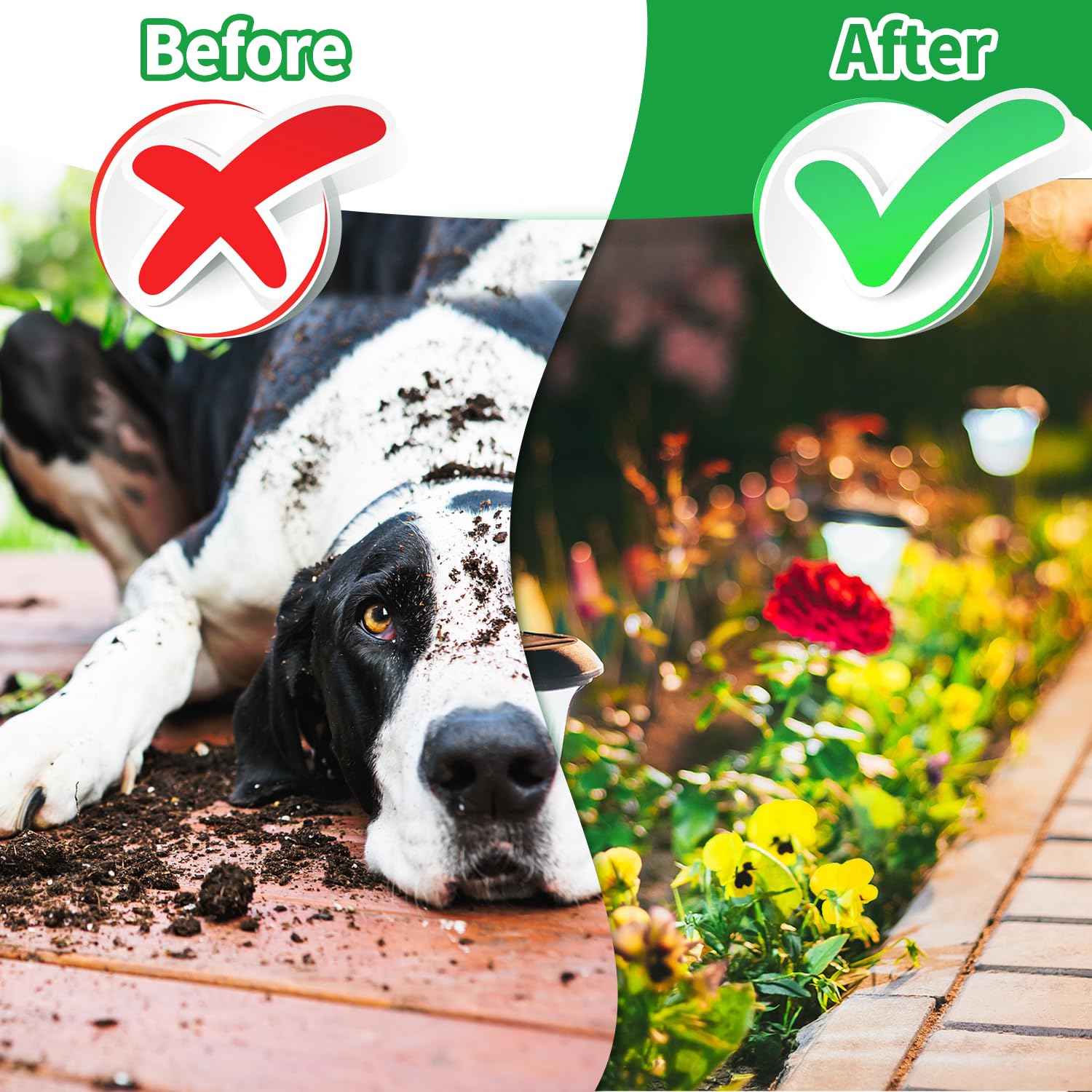 LAOFAN Dog Deterrent Outdoor, Dog Repellent for Yard, Preventing Dogs from Peeing Digging 10 Pack Natural Peppermint Oil Dog Cat Deterrent Ball Keep Out of Lawn Garden Prevent Scratch and Chew（Blue）