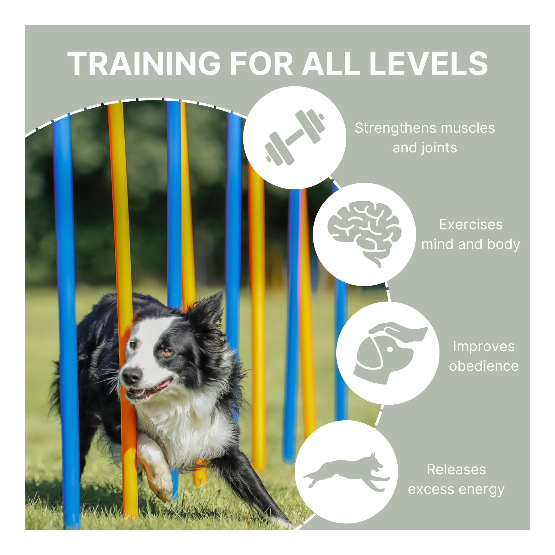 Trixie Dog Agility Slalom Course - 12 Adjustable Weave Poles Backyard Set - Portable Training Equipment with Carrying Bag & Training Guide - for All Breeds