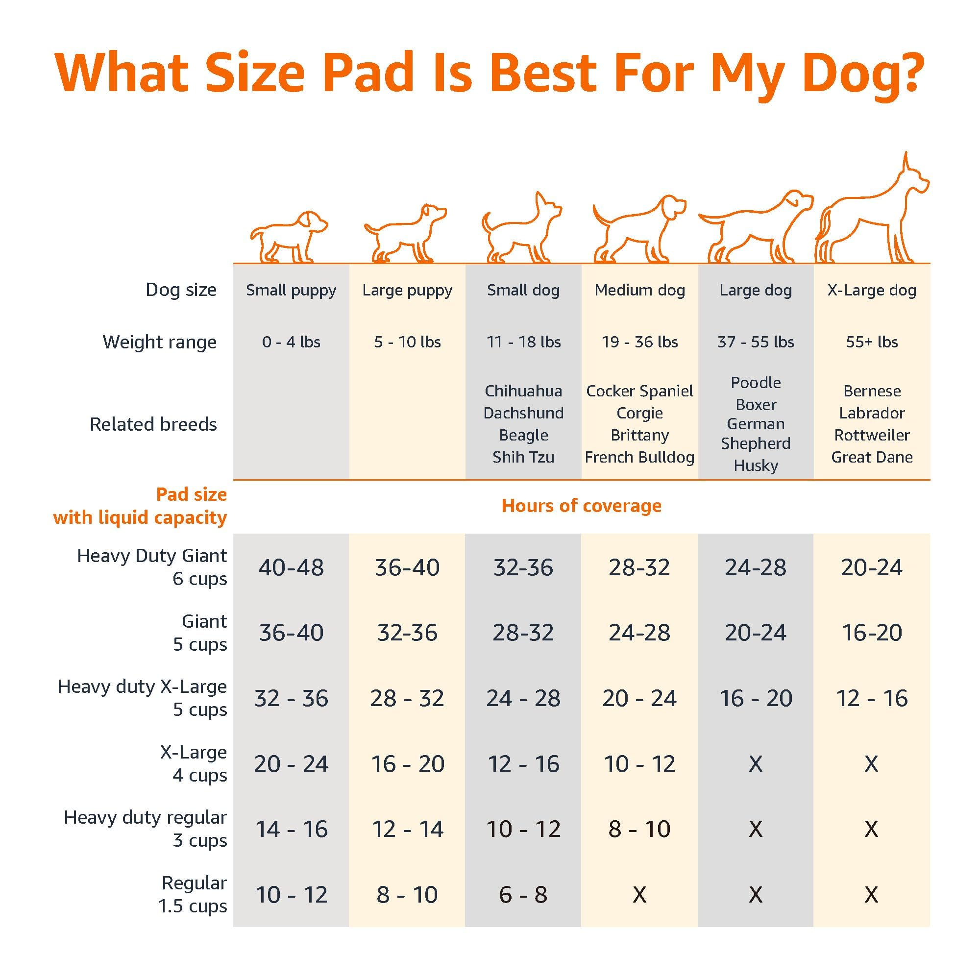 Amazon Basics Heavy Duty Absorbent Dog and Puppy Pee Pads with 5-Layer Leak-Proof Design and Quick-Dry Surface for Potty Training, Regular Size, 24 x 23 Inches, Blue & White, 20-Count