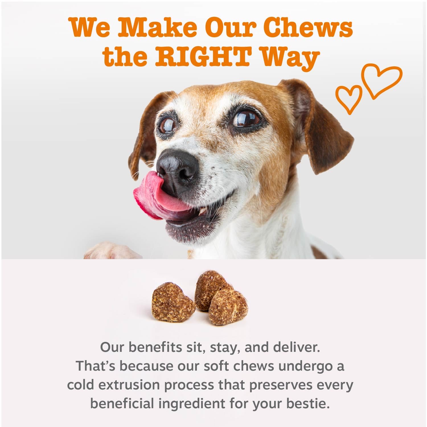 Zesty Paws Probiotics for Dogs - Digestive Enzymes for Gut Flora, Digestive Health, Diarrhea & Bowel Support - Clinically Studied DE111 - Dog Supplement Soft Chew for Pet Immune System - Pumpkin, 90ct