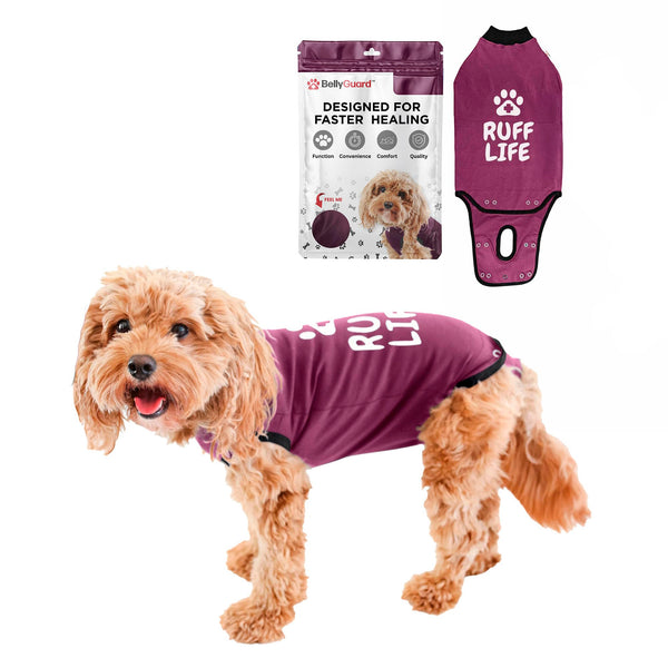 BellyGuard Dog Surgery Recovery Suit, Dog Onesie for Post-Op Care, Recovery Apparel for Female and Male, Surgical Body Cover for Canine Healing Support