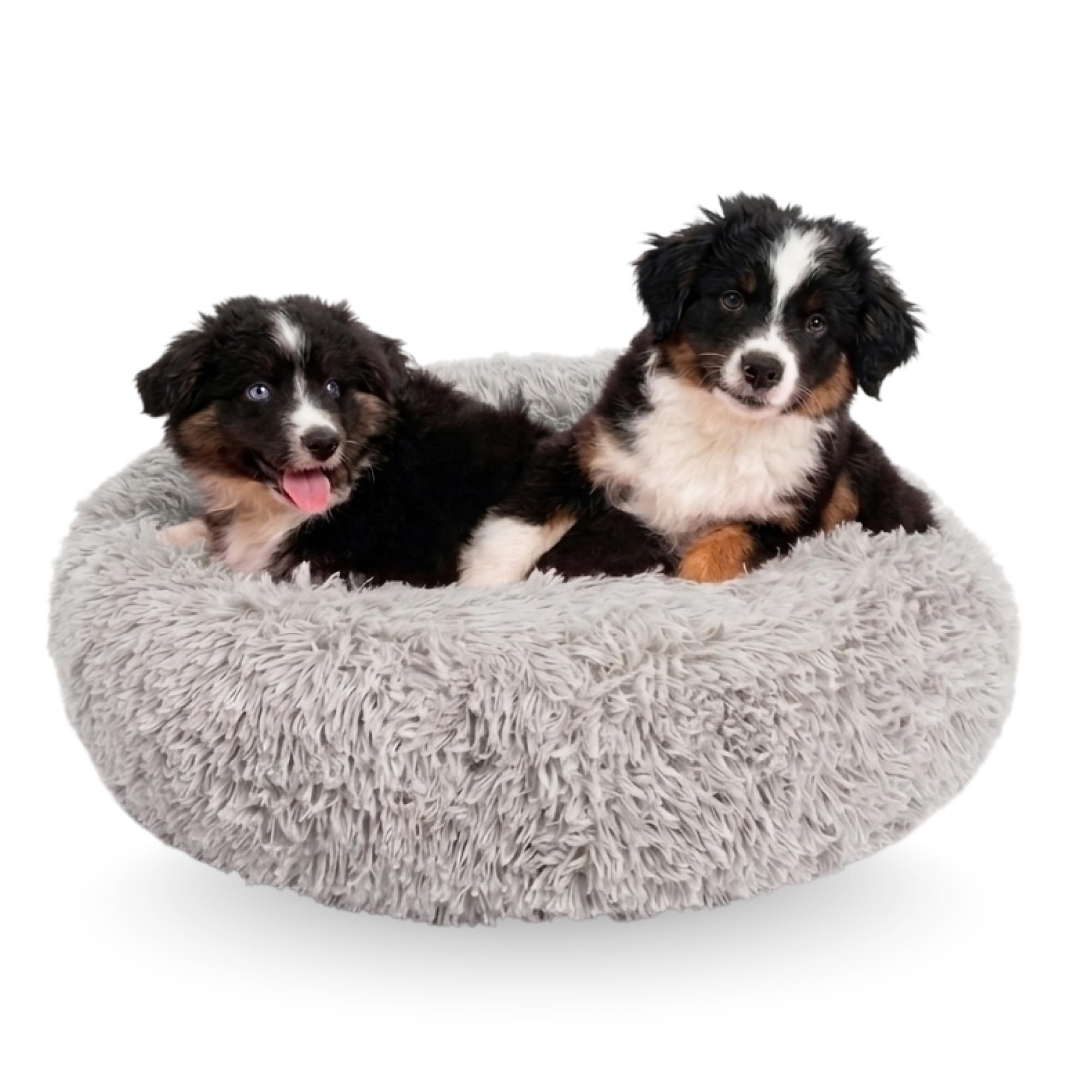 Active Pets Large Dog Bed, Calming Orthopedic Pet Bedding for Anxiety Relief, Joint Support & Comfort, Washable Dog Furniture, M 45lbs, Light Grey
