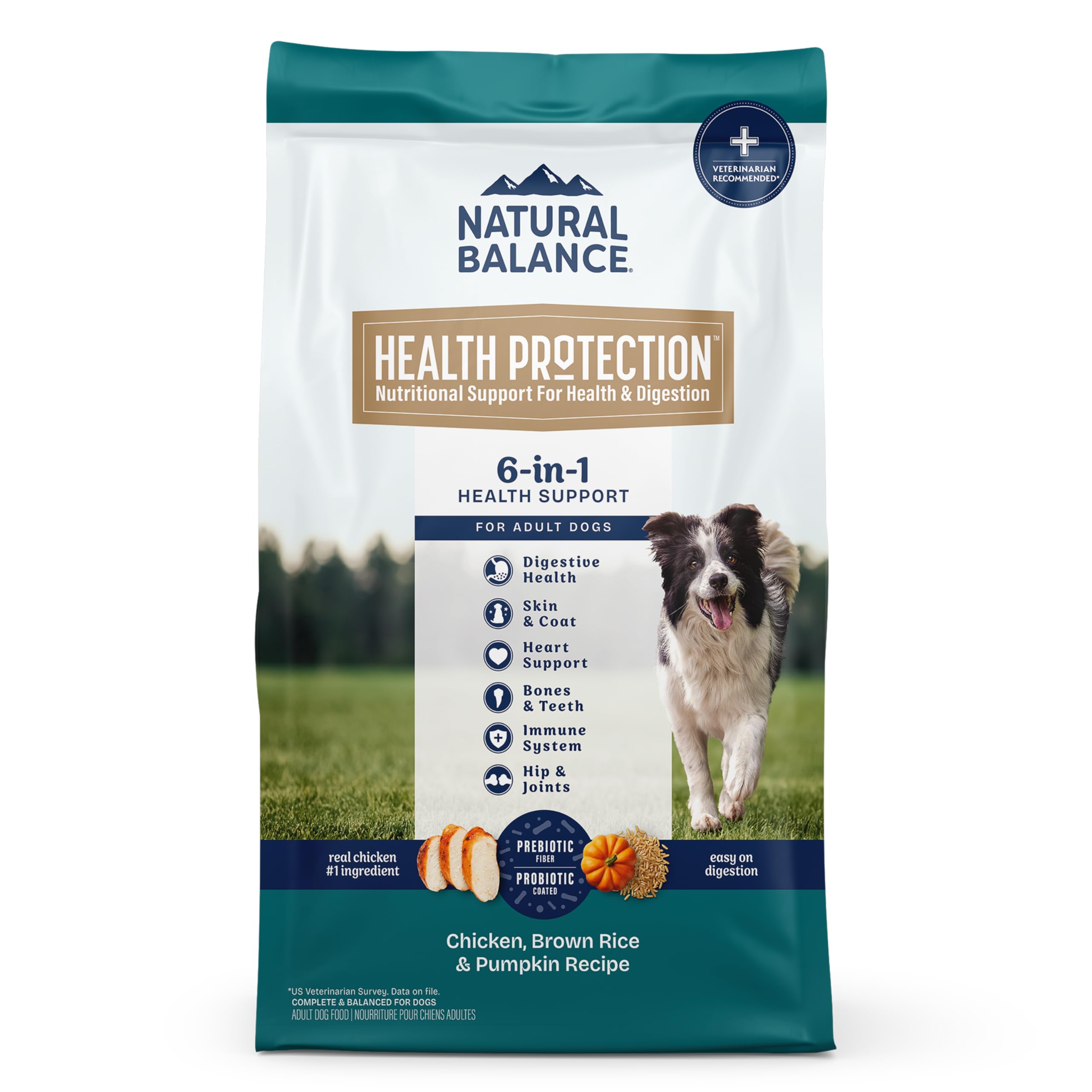 Natural Balance Health Protection Dry Dog Food – Whole Body Health, Easy on Digestion Dog Food Made with Chicken, Brown Rice & Pumpkin for Dogs - 24lbs.