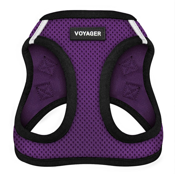 Best Pet Supplies Voyager Step-in Air Harness - All Weather Mesh, Reflective, No Pull Harness for Dogs, Cats - Secure with Hook & Loop Fastener, Buckle, Double D-Rings - Purple/Black Trim, XXS