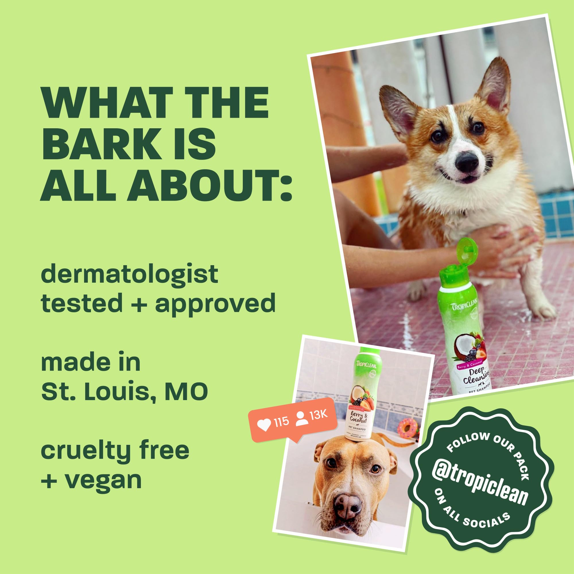 TropiClean Dog Perfume, Papaya Scented Dog Deodorizing Spray, 3X Long-Lasting Scent, After Bath Cologne & Detangling Spray with Vitamin E, 10oz.