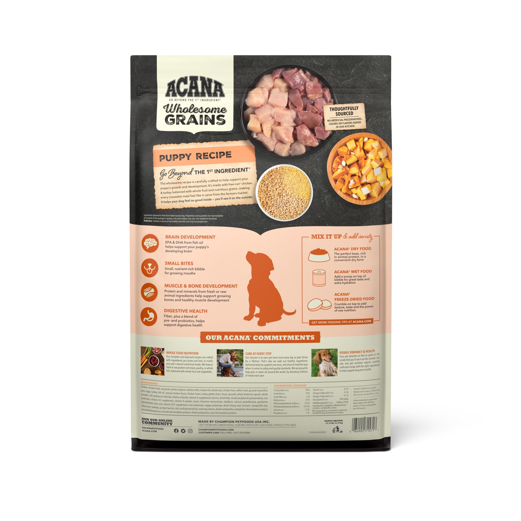 ACANA Wholesome Grains Dry Dog Food Puppy Recipe Real Chicken Eggs and Turkey 11.5lb Bag