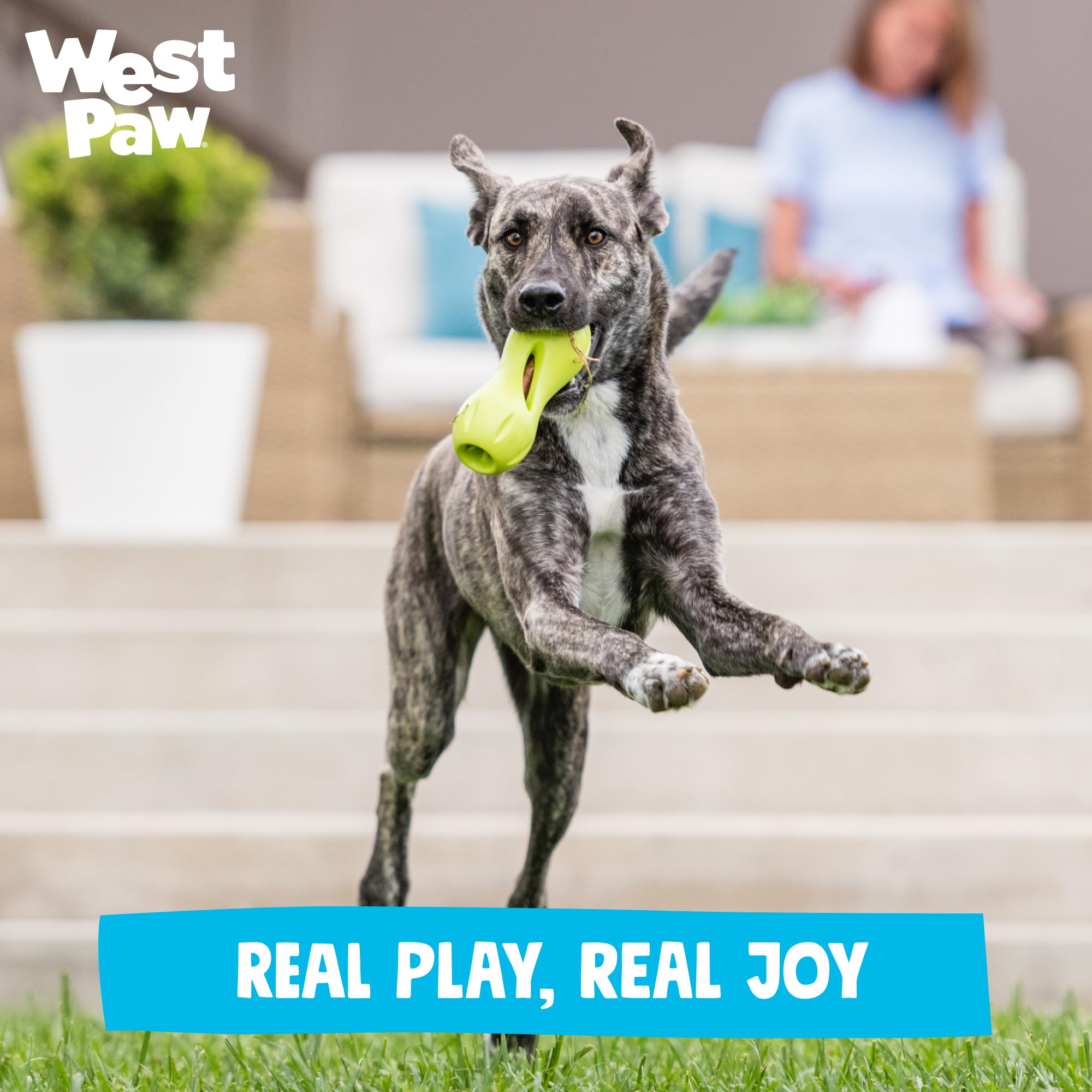 West Paw Qwizl Durable Zogoflex Dog Puzzle Toy for Mental Stimulation, and Enrichment - Treat Dispensing for Bully Sticks and Dental Sticks - Dishwasher Safe - Made in USA - Small - Granny Smith