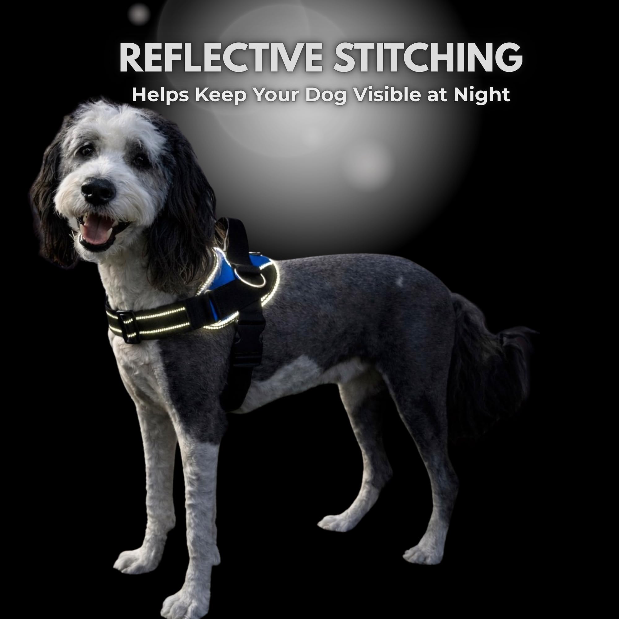 ShawnCo Essential Dog Harness, No-Pull Pet Vest with 3 Leash Clips, No Choke, Reflective, Adjustable and Padded, for Easy Walking and Training for Small, Medium and Large Dogs (Stars and Stripes, S)