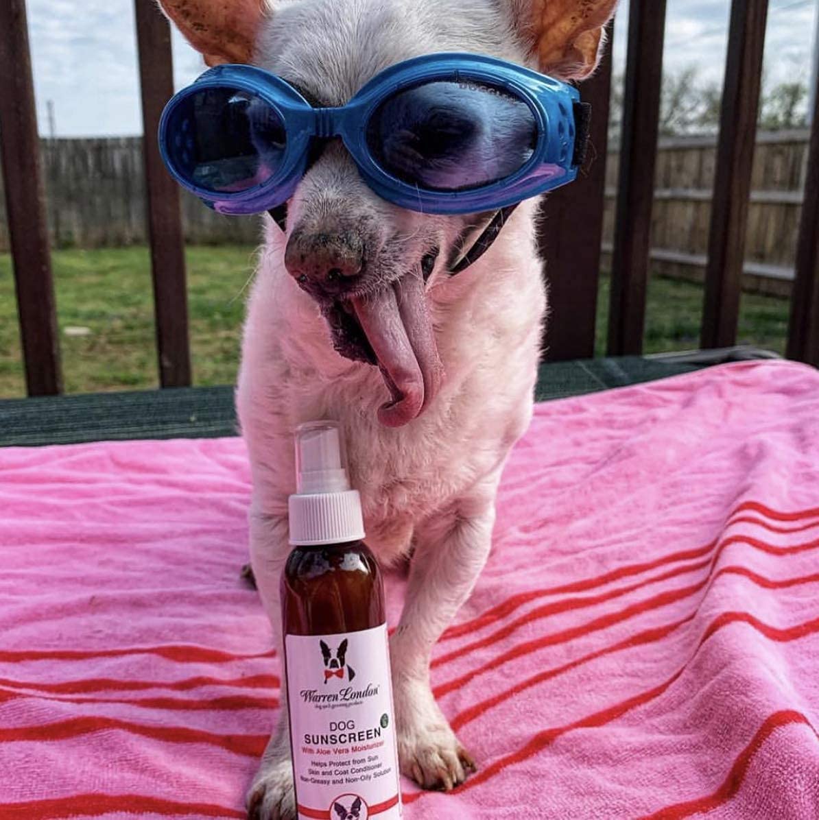 Warren London Dog Sunscreen Spray Protection with Aloe Vera I Dog Skin Soother I Puppy Sunblock I Made in USA- 4oz