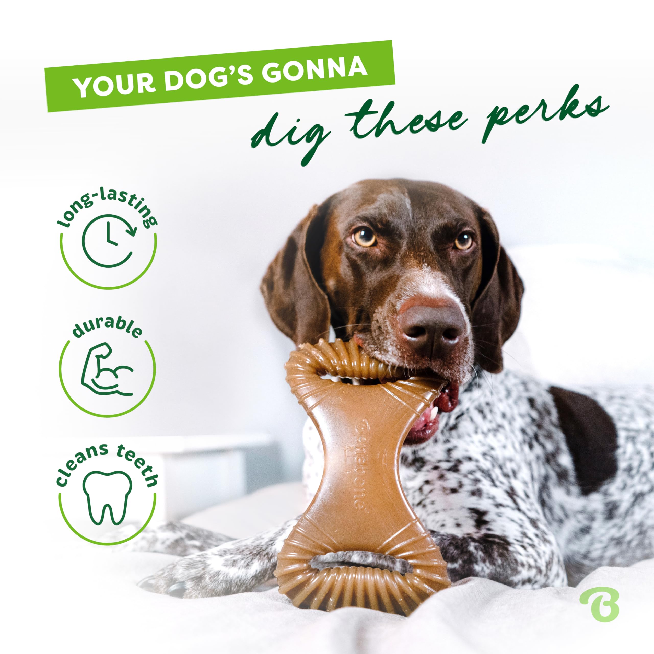 Benebone Dental Durable Dog Chew Toy for Aggressive Chewers, Real Bacon, Made in USA, Medium