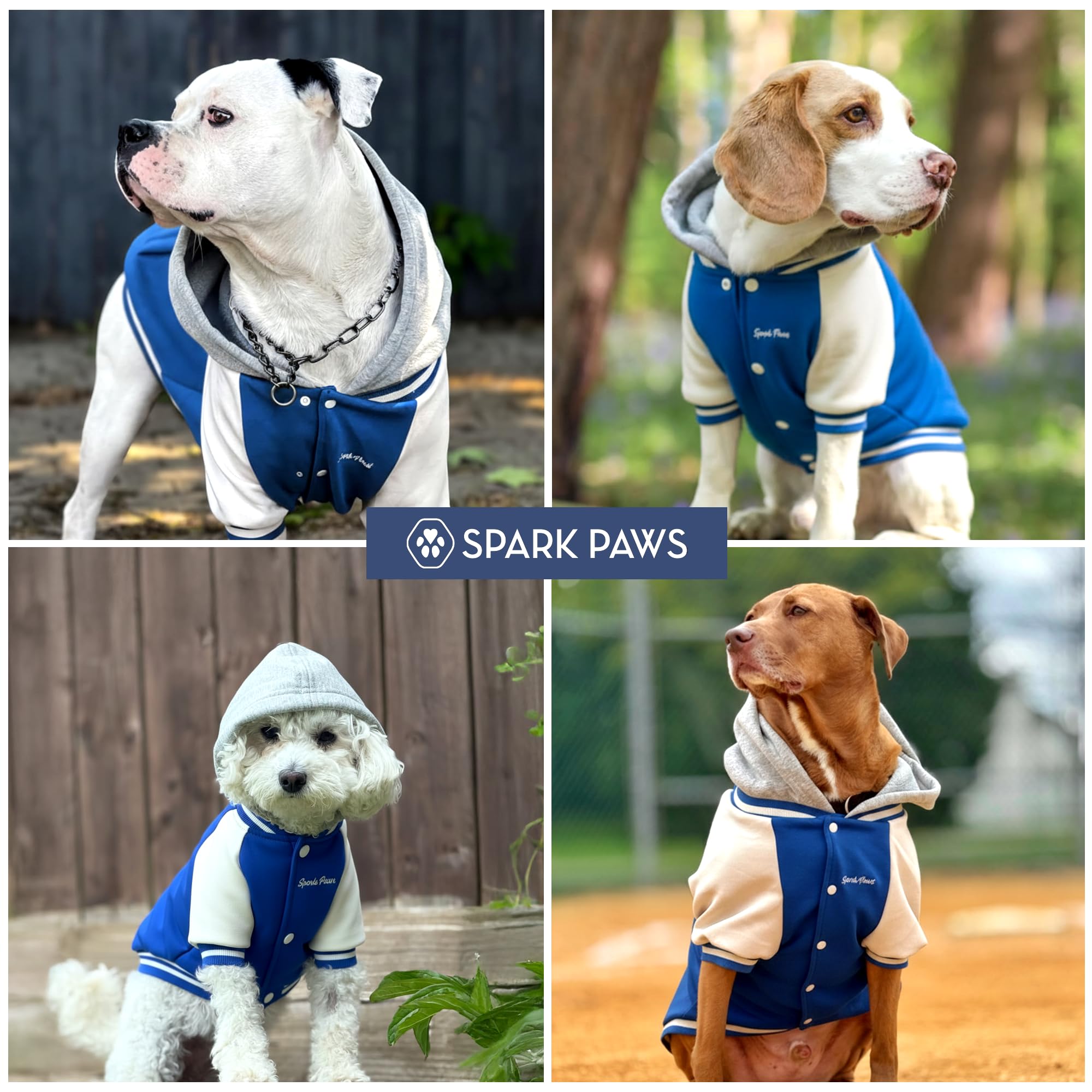 Spark Paws Varsity Dog Hoodie – Premium Dog Sweater for Small, Medium, and Large Dogs | Warm Clothes for Pets, Winter Jacket Alternative - Blue - XL