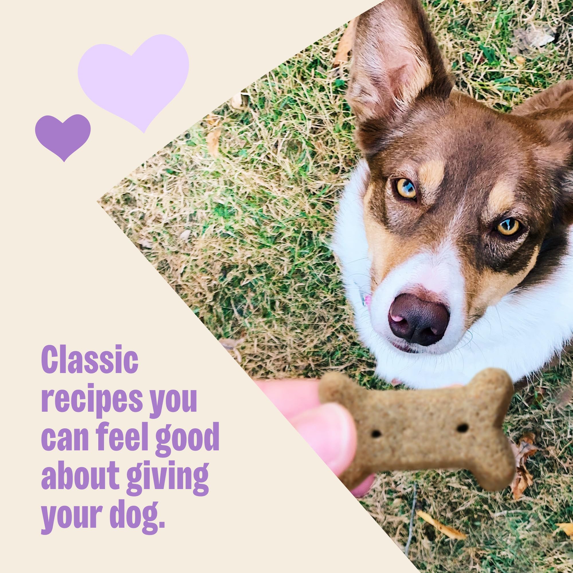 Wellness Old Mother Hubbard Classic Savory Mix Dog Biscuits, Natural Training Treats, 3 Flavors, Mini Size, 20 oz Bag
