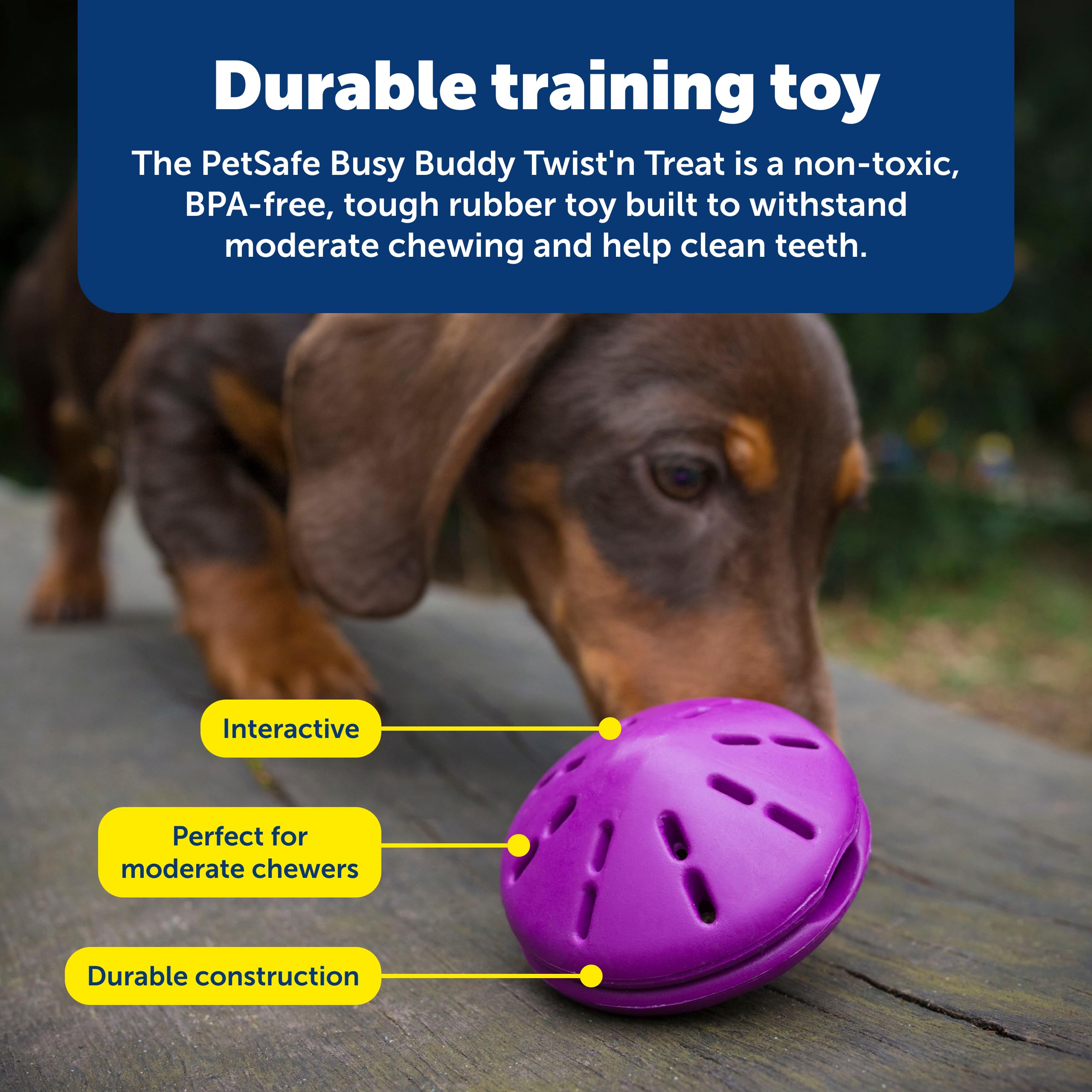 PetSafe Busy Buddy Twist 'n Treat Dispensing Dog Toy - Large