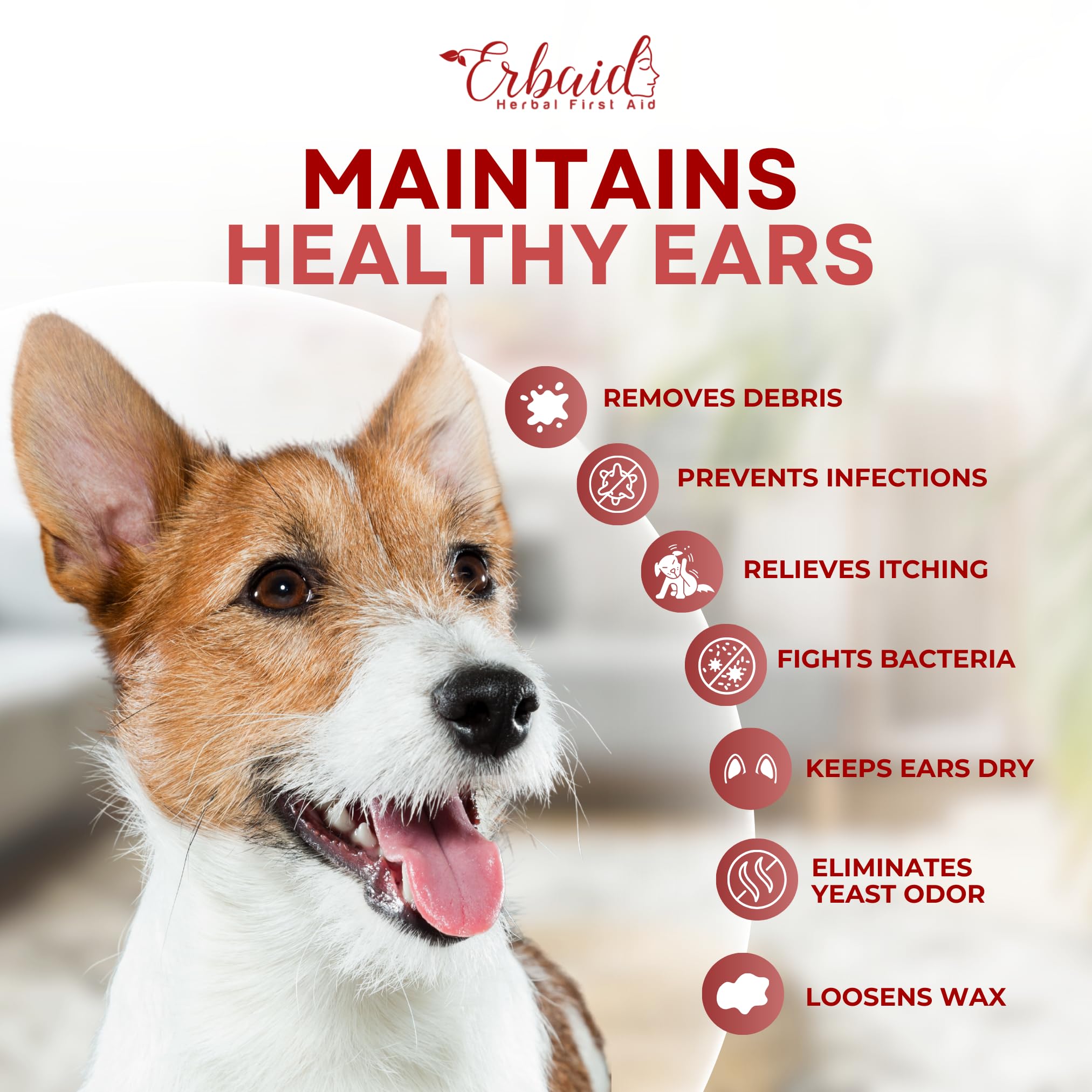 Dog Ear Cleaner – All Natural Ear Drops for Dogs Ear Infection – Eliminates Yeast Odor, Loosens Wax, Prevents Infections, Relieves Itching – Safe, Gentle, Effective Itchy Ear Relief, Made in USA