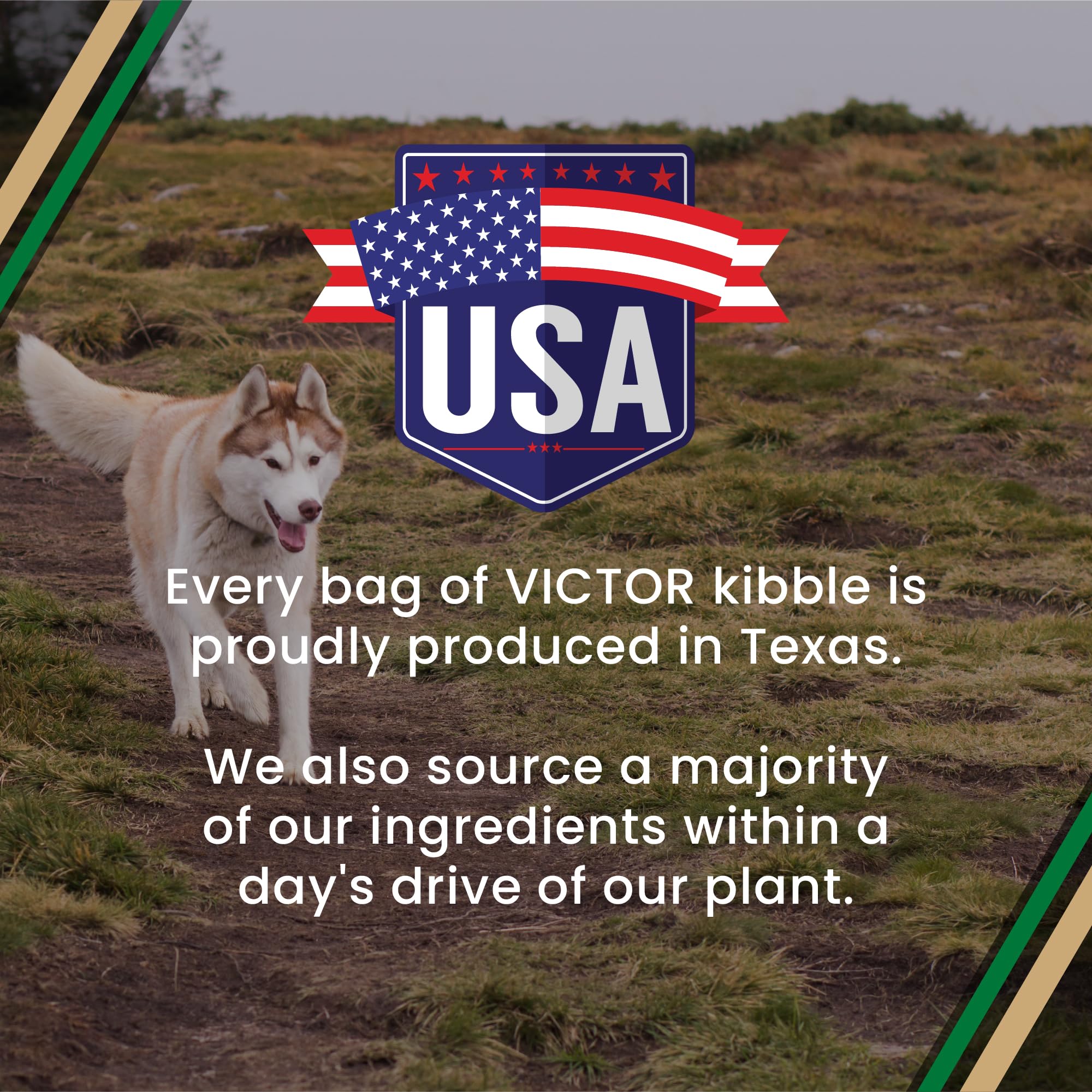 VICTOR Super Premium Dog Food – Performance Dry Dog Food from Beef, Chicken and Pork Meal – 26% Protein for Active Adult Dogs – Includes Glucosamine and Chondroitin for Hip and Joint Health, 40lbs