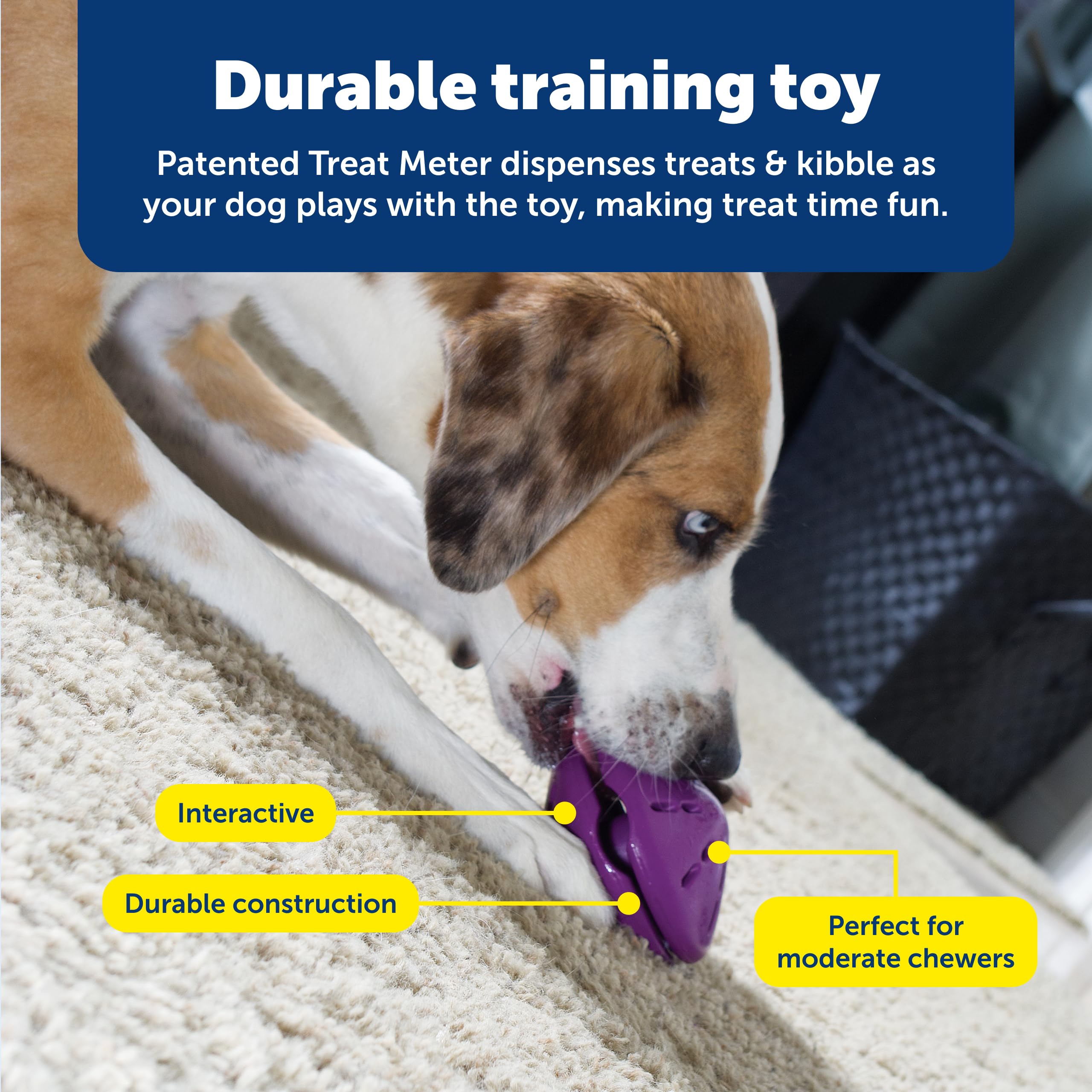 PetSafe Busy Buddy Twist 'n Treat Dispensing Dog Toy - Small