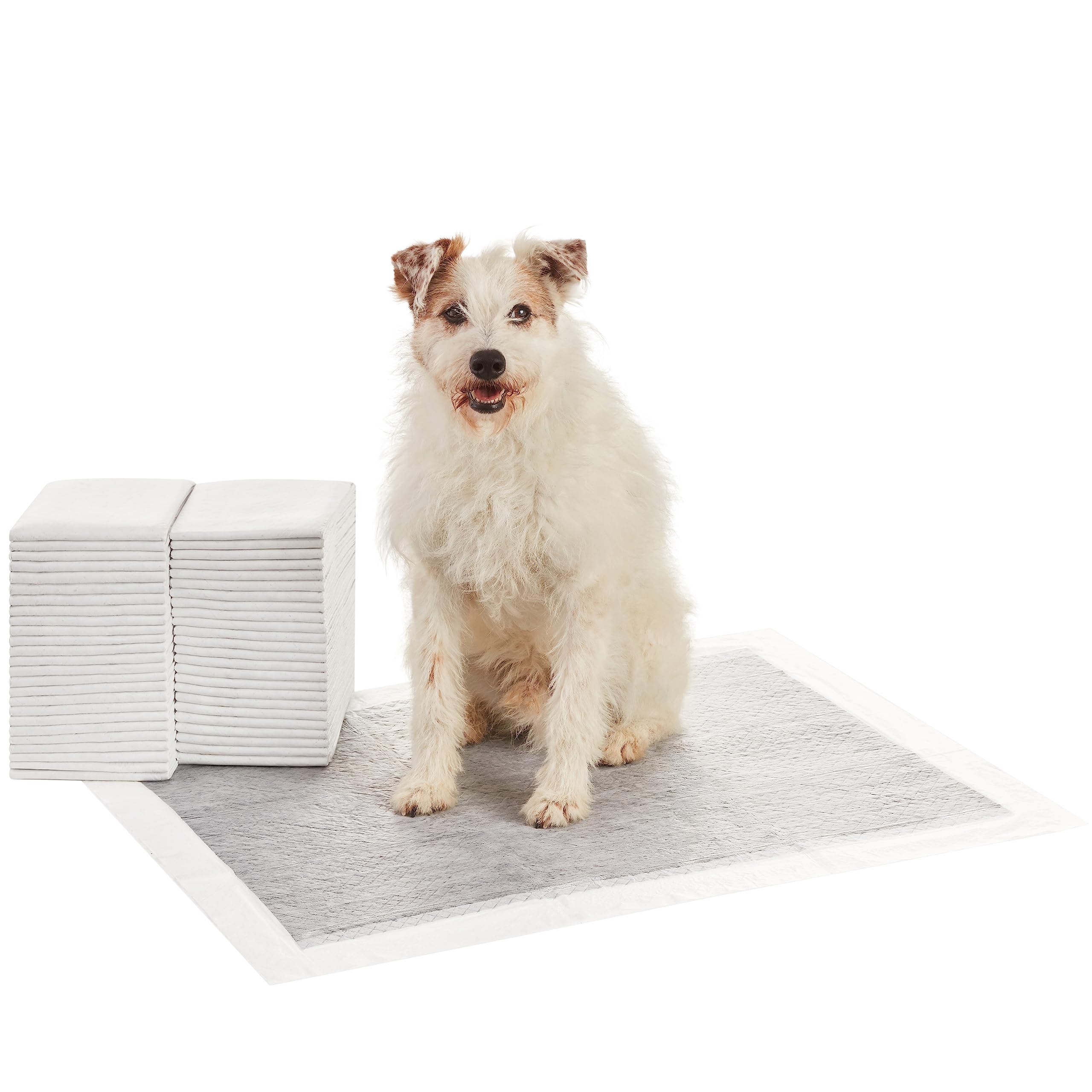 Amazon Basics Carbon Odor Control Dog and Puppy Pee Pads, 5-Layer Leak-Proof Super Absorbent, Quick-Dry Surface for Potty Training and Housebreaking, X-Large Size 28"x34", Gray, 50 Count