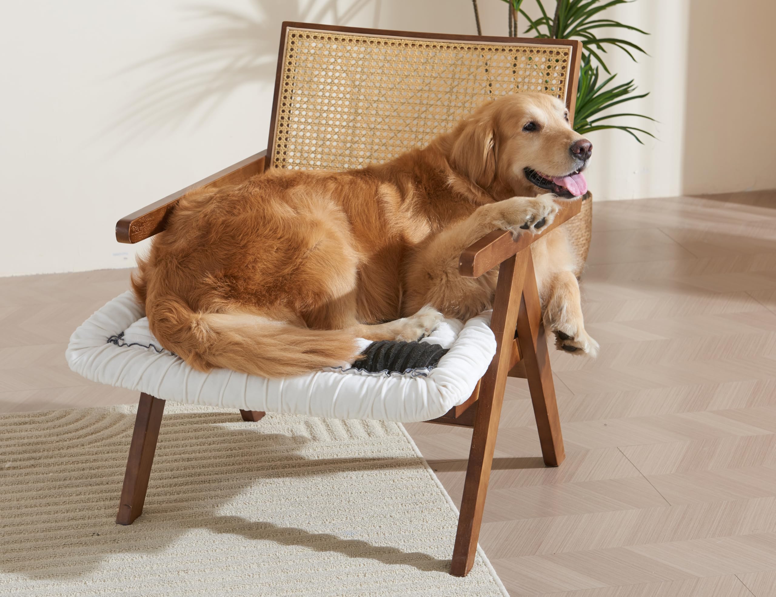 Couch Cushion Cover for dogs Sofa Cover Washable Pet Love Seat Couch Covers for Sofa Slipcovers Couch Protector Blanket for Dogs Sofa Cushion Covers for Pets Washable Pad Black 70x70cm/27.6x27.6in
